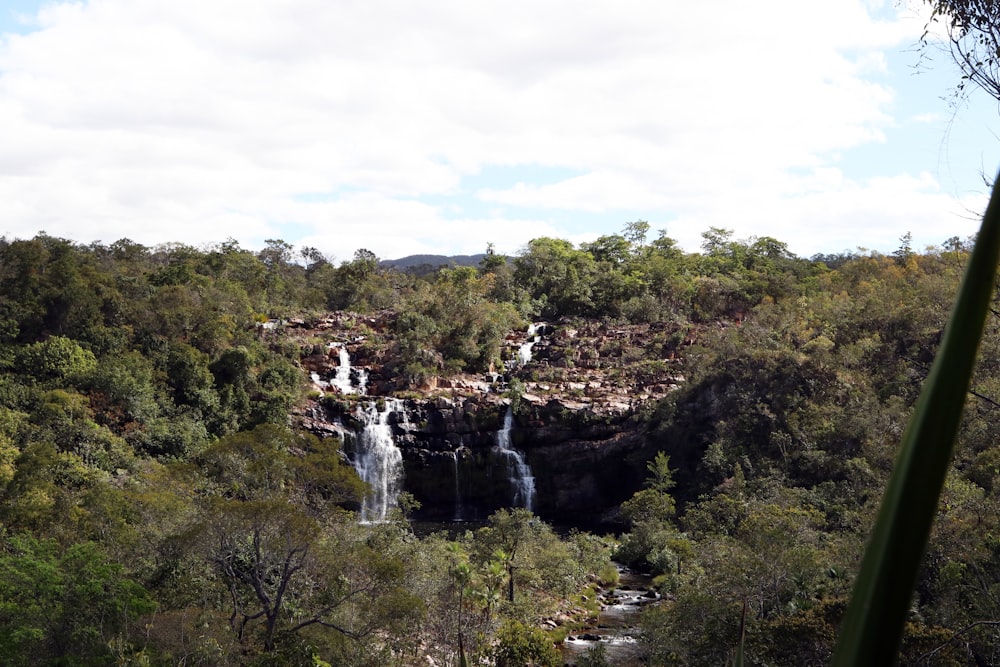 waterfalls view surrounded by trees