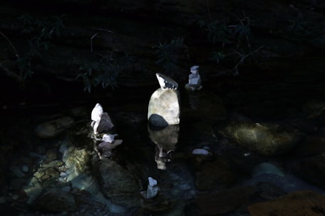 A yin yang symbol carved in stone surrounded by smooth river rocks and gentle water flow.