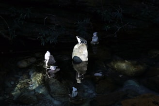 A tranquil water feature surrounded by smooth stones and candles.