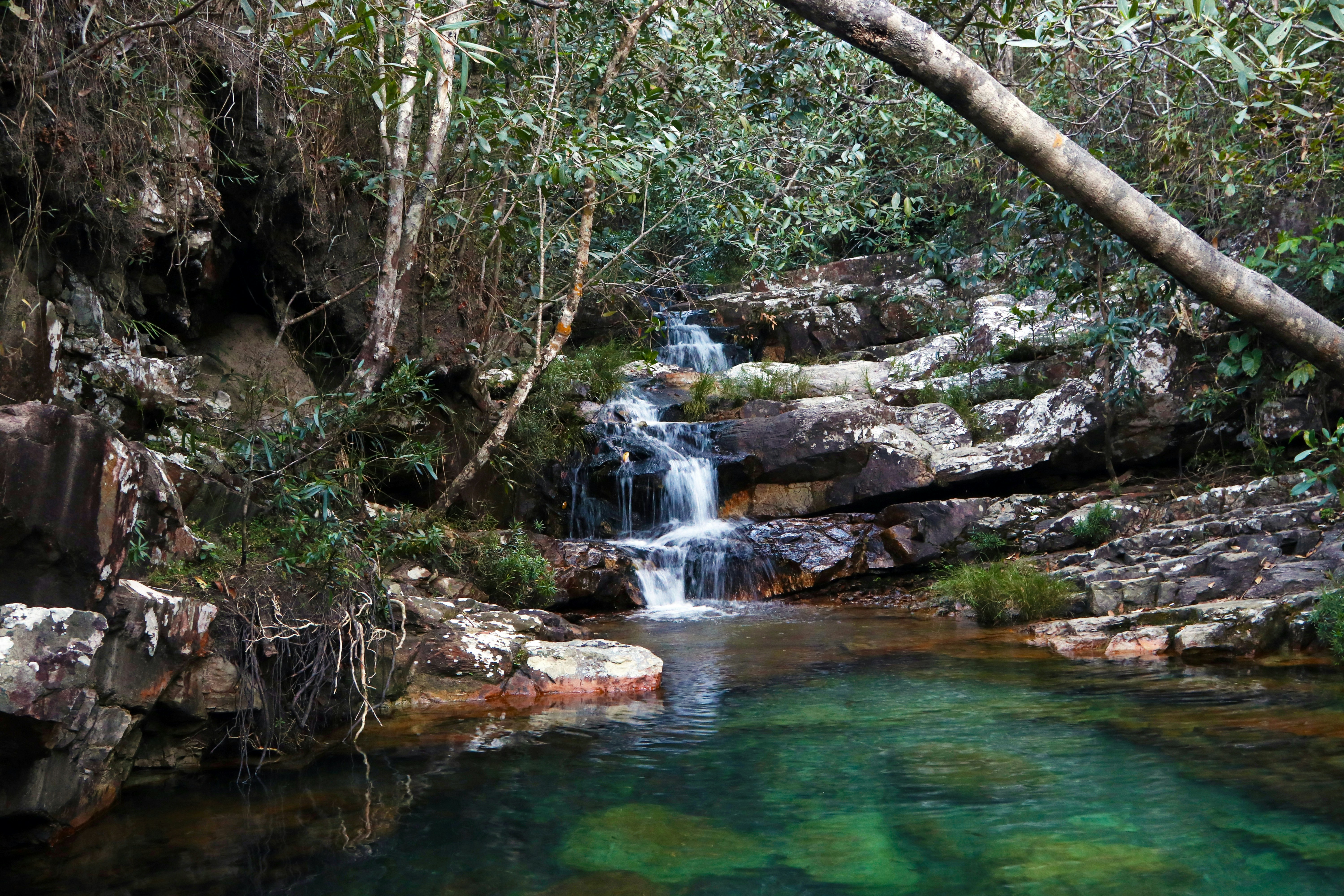 Photo by marcusdallcol