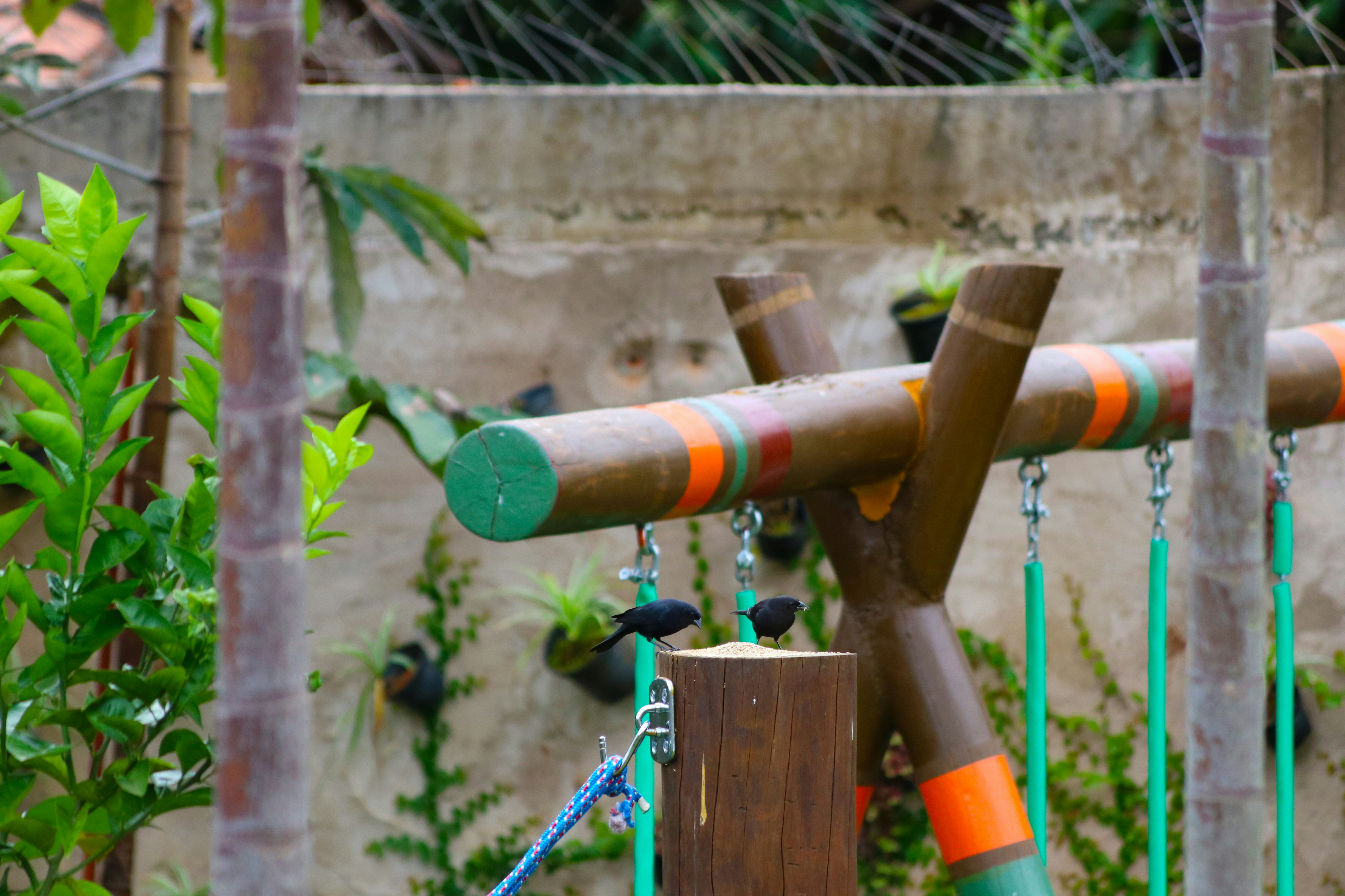 a playground with a wooden structure and ropes