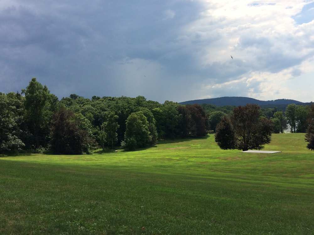 a green field with trees and mountains in the background