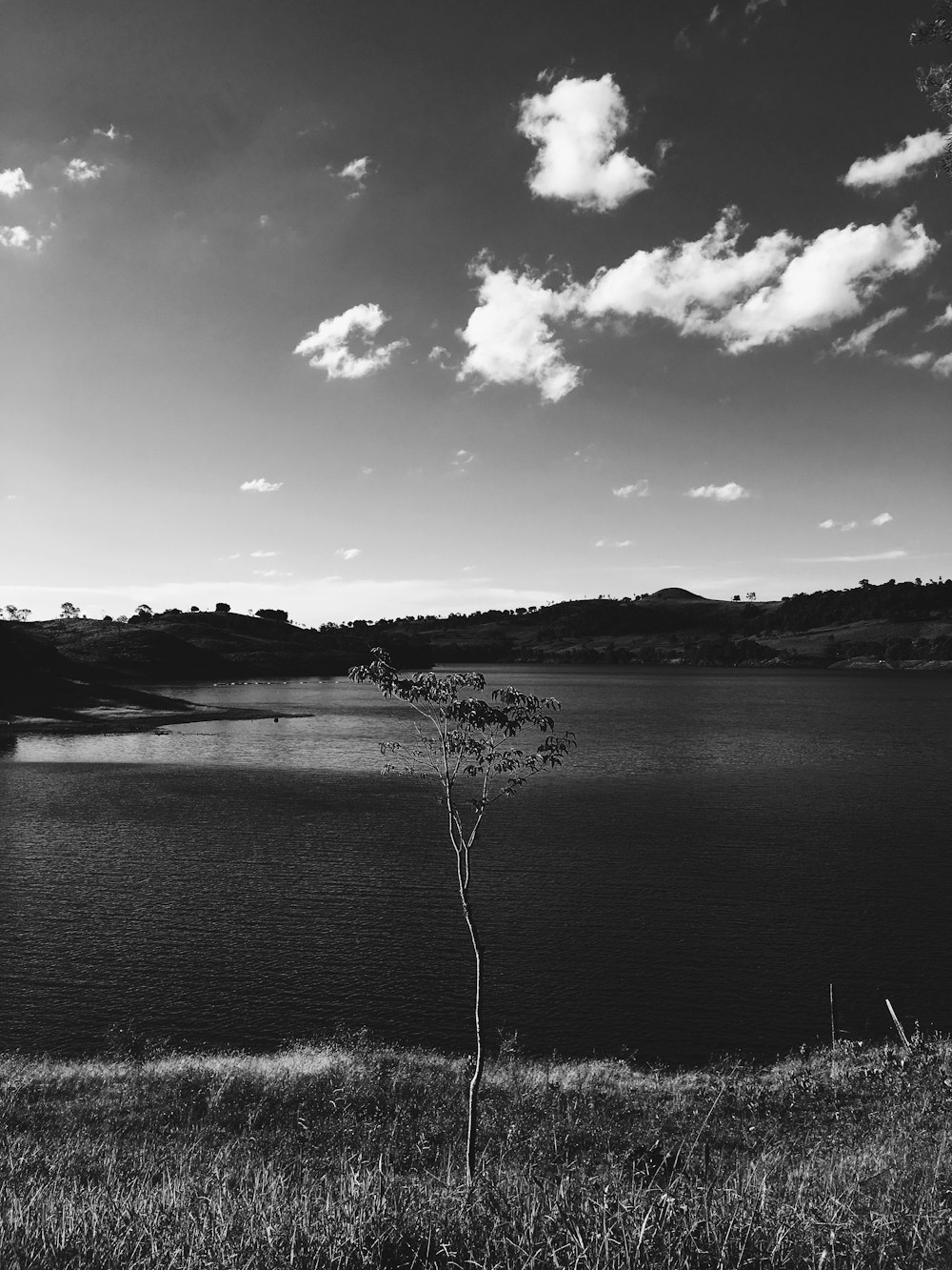 grayscale photography of lake during daytime