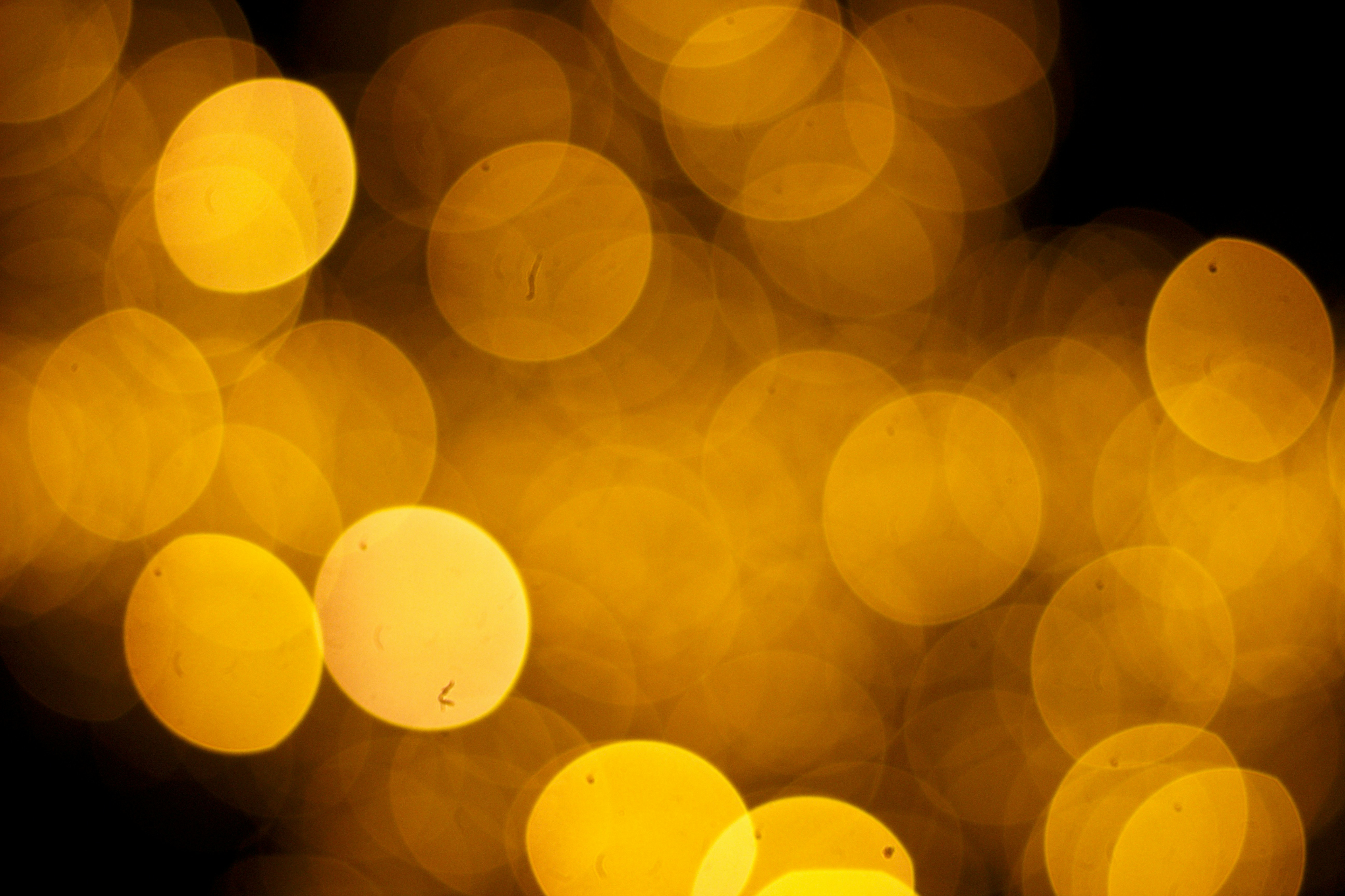 Photo by melinasarts