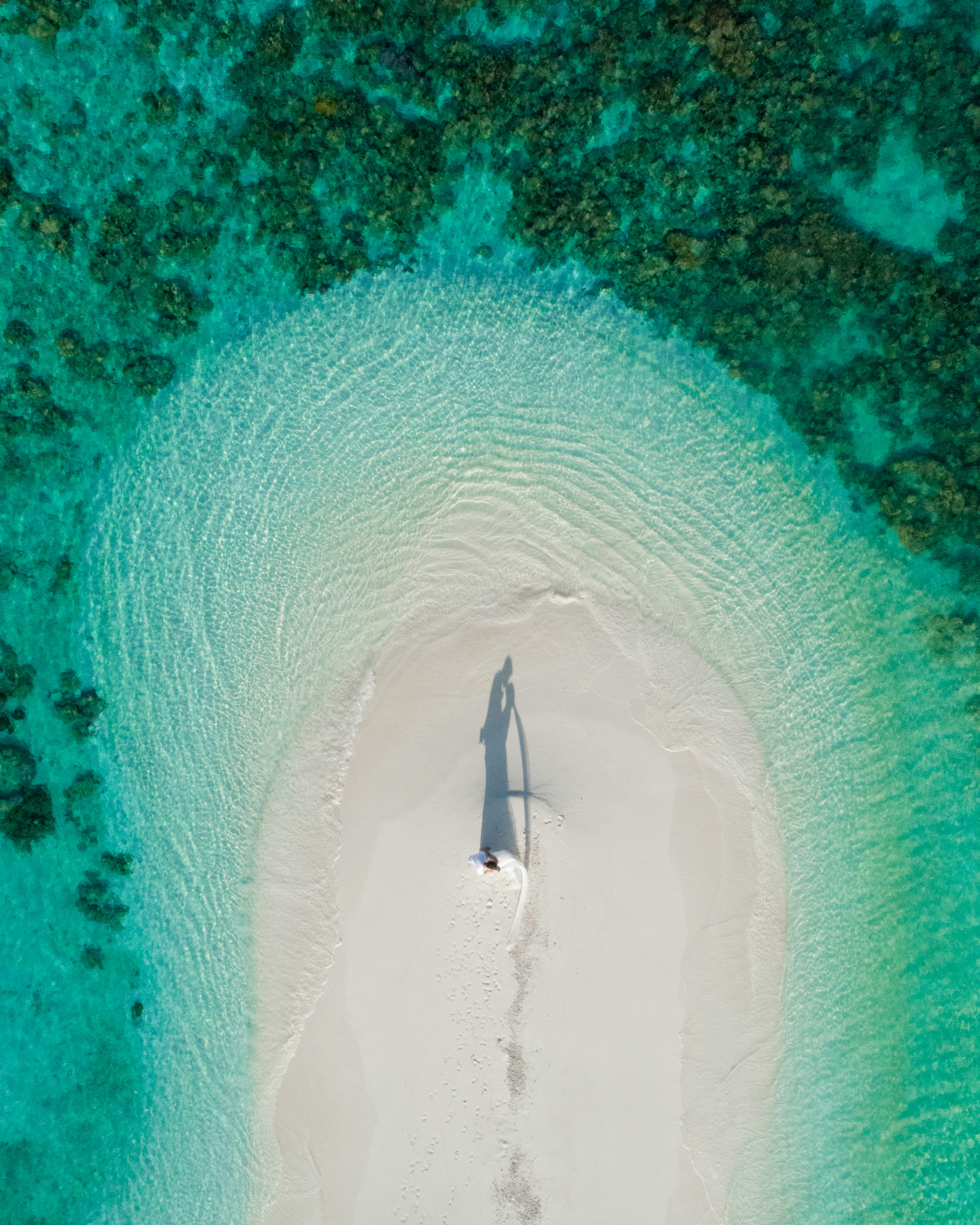 ビーチに立っている人の空中写真