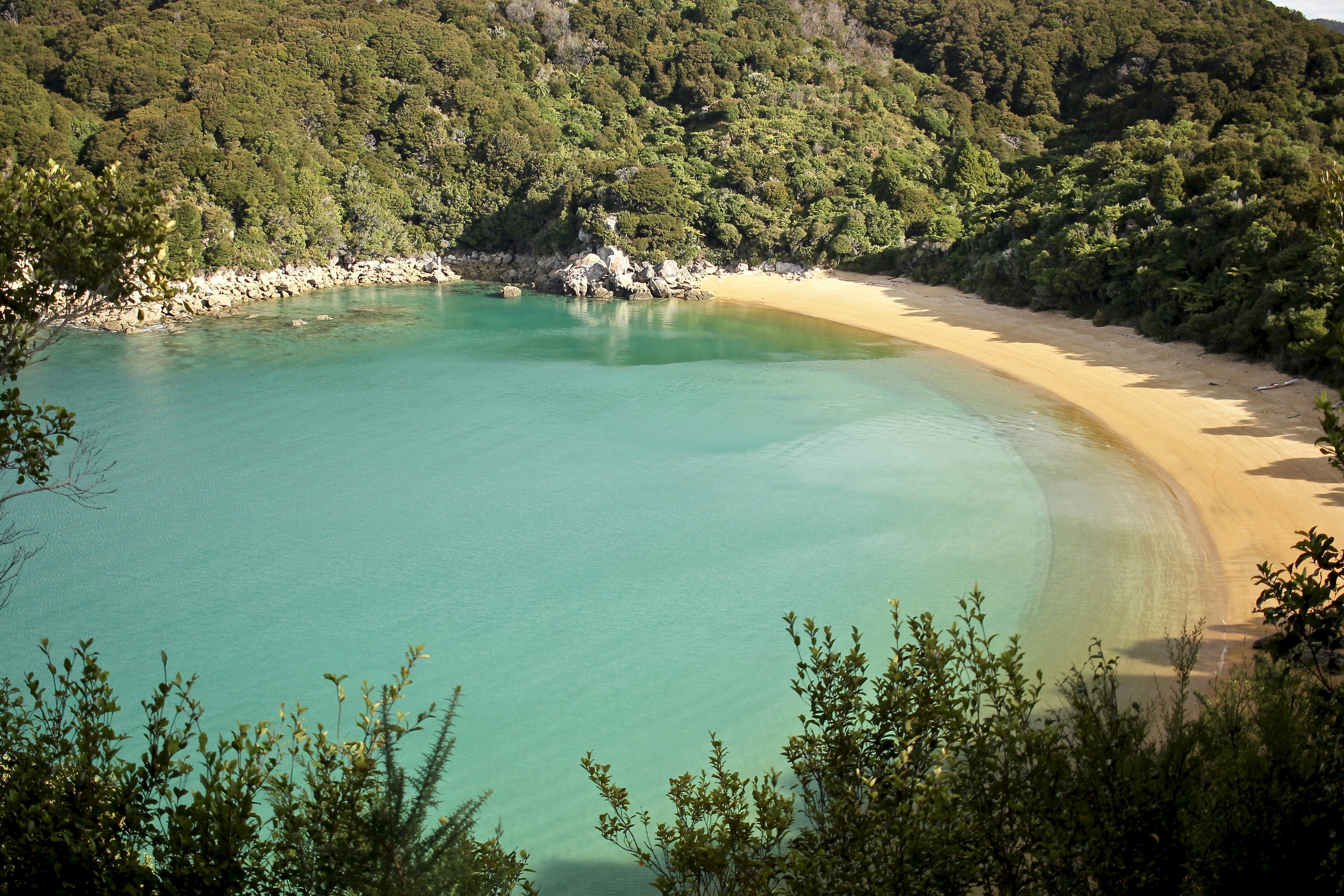 Abel Tasman National Park, New Zealand - Adventure & Hiking Destination in Oceania
