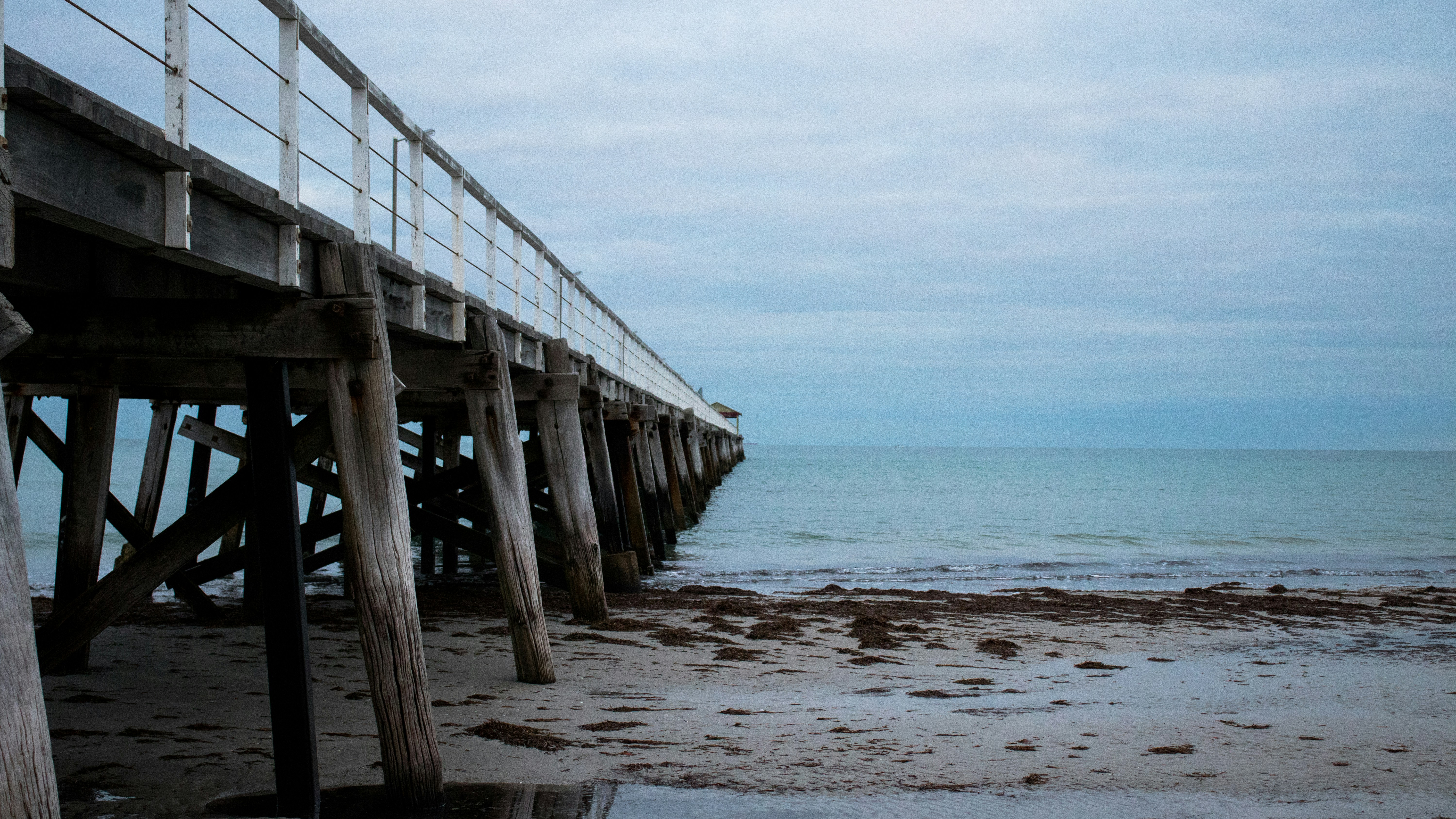 Photo by some_random_guy