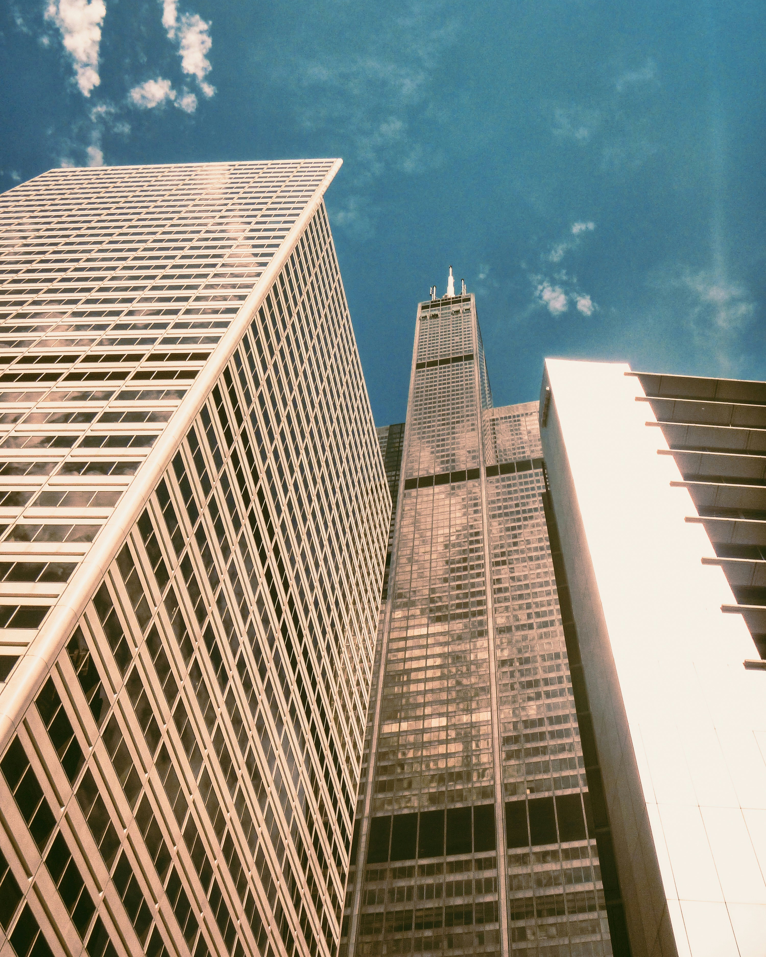 high rise buildings under blue sky