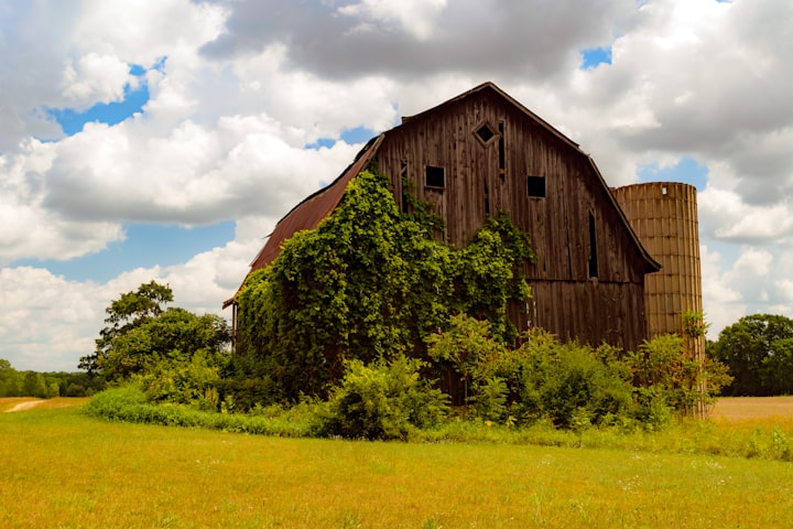 Rex Draco Farm