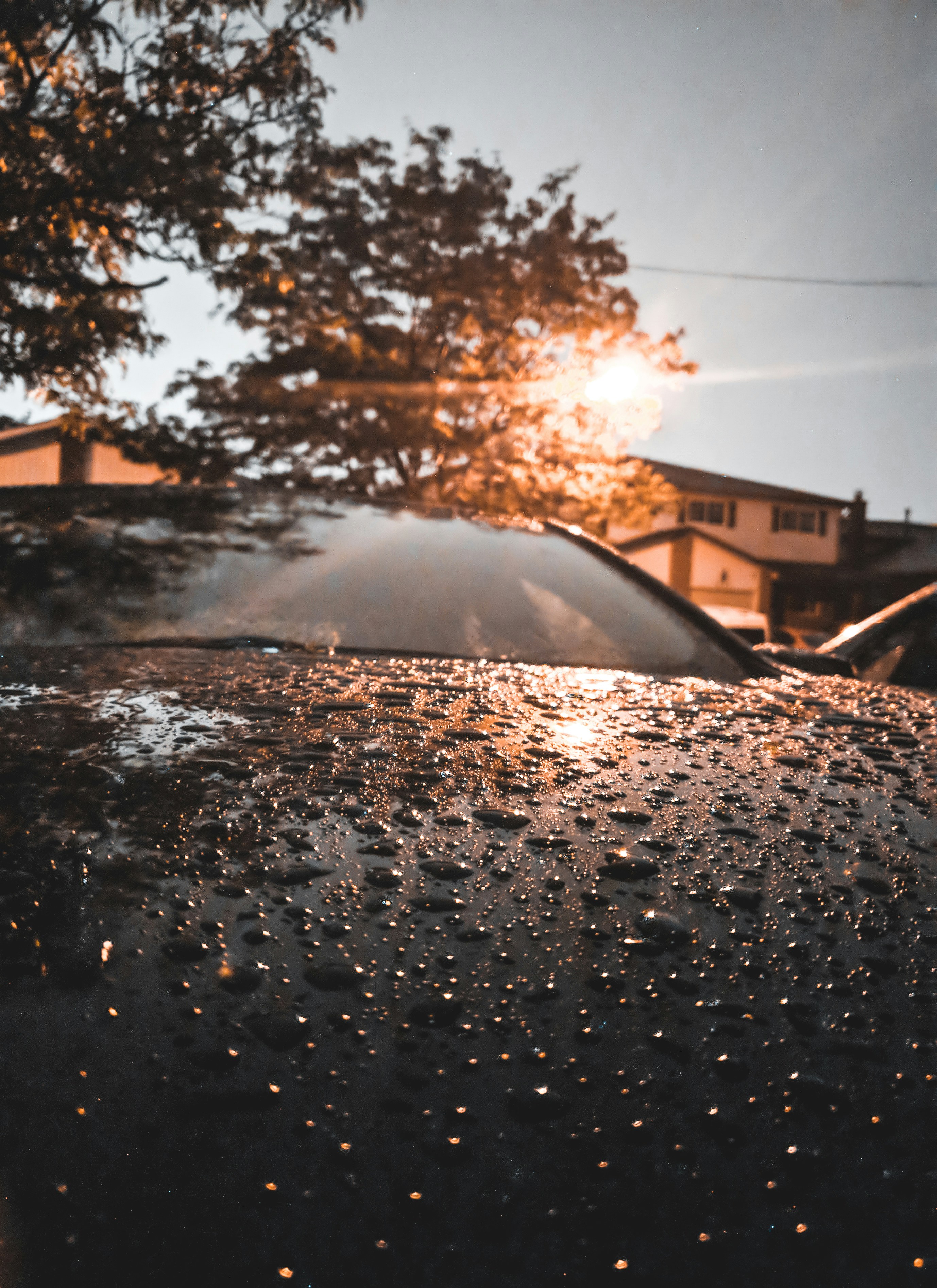 Photo by navpreetvisuals