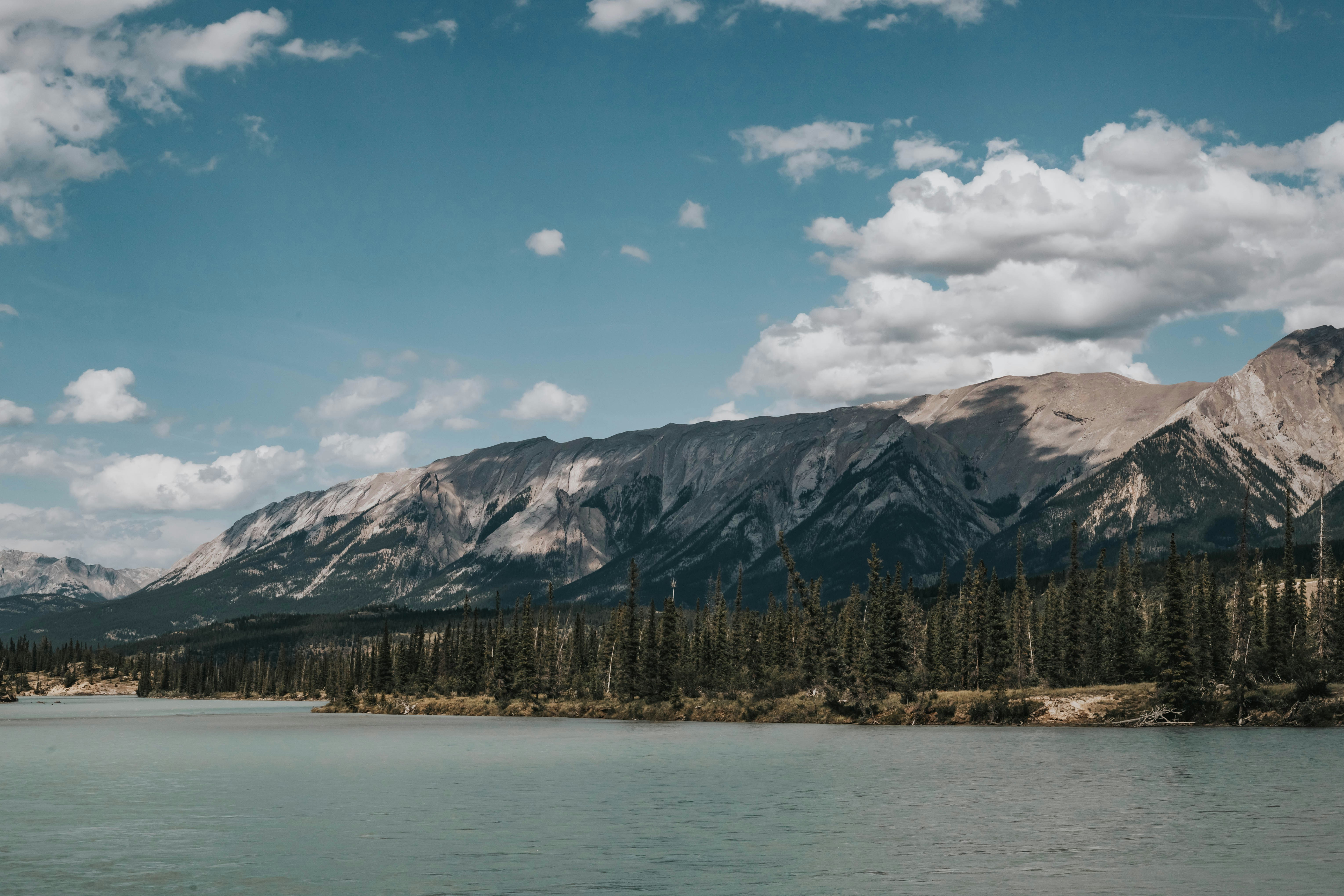 Photo by devintavery