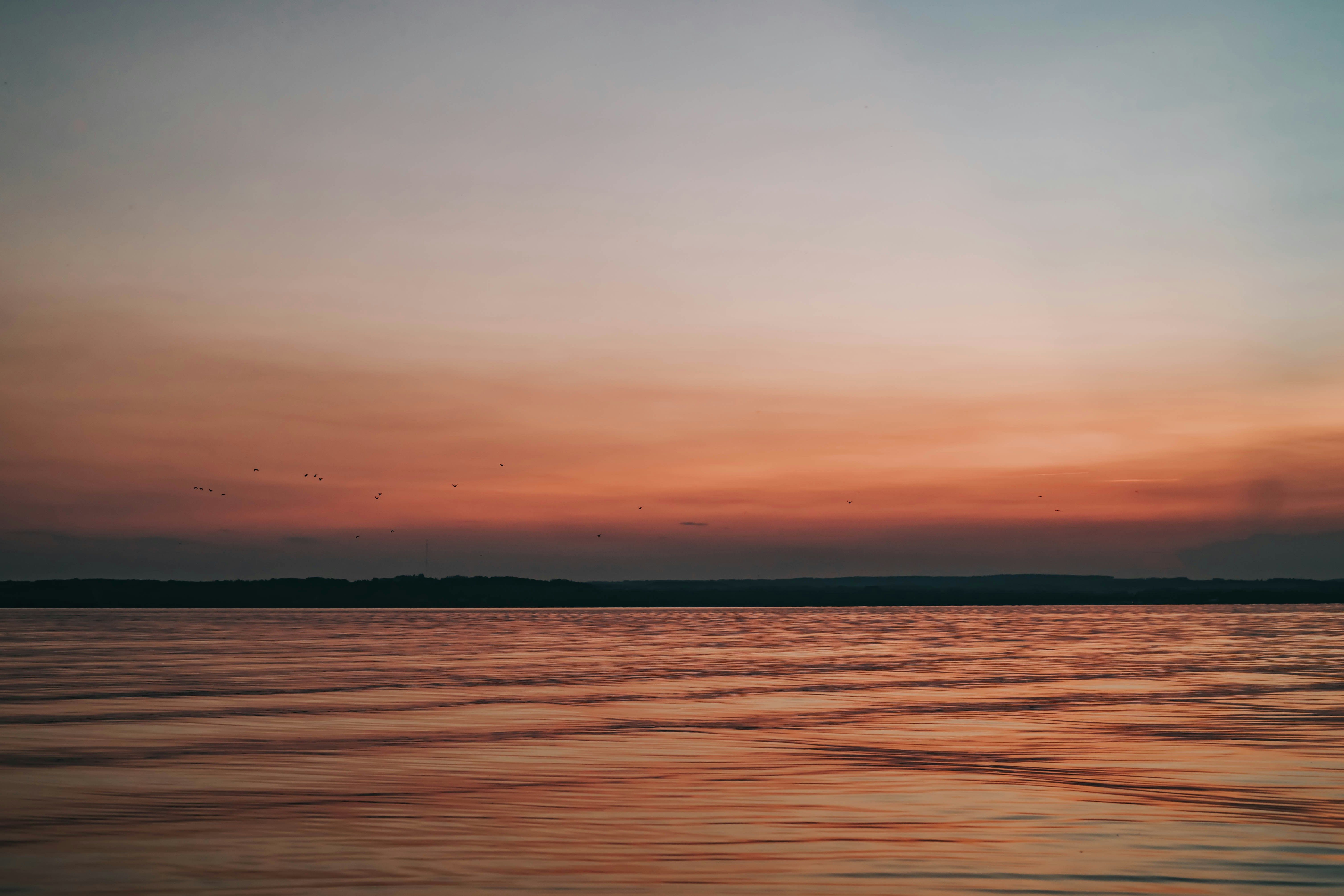 Photo by devintavery