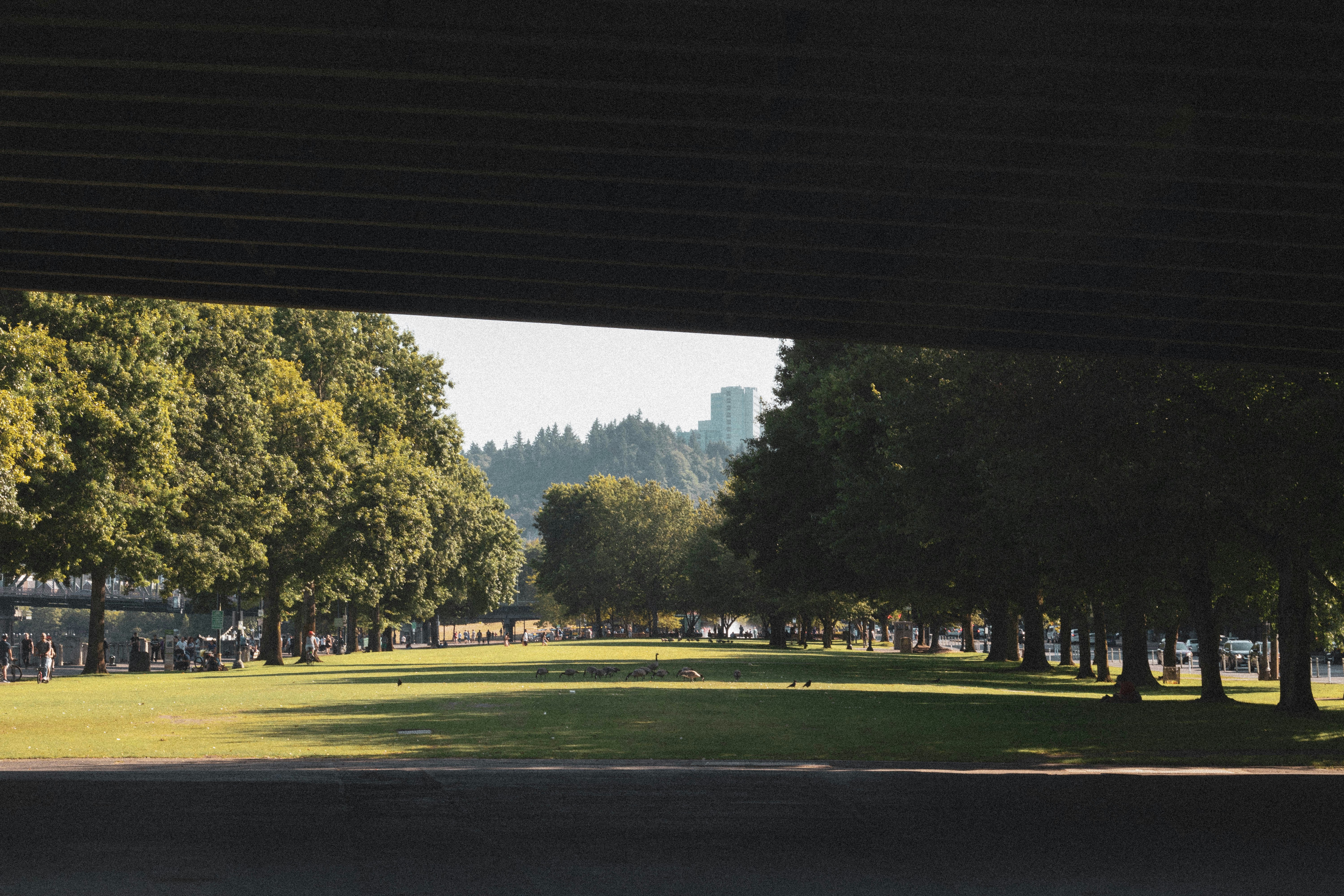 Evans Park