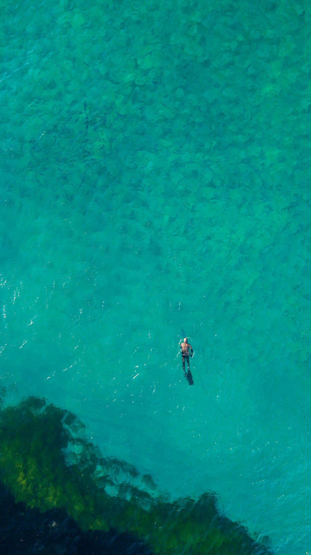 person diving on sea