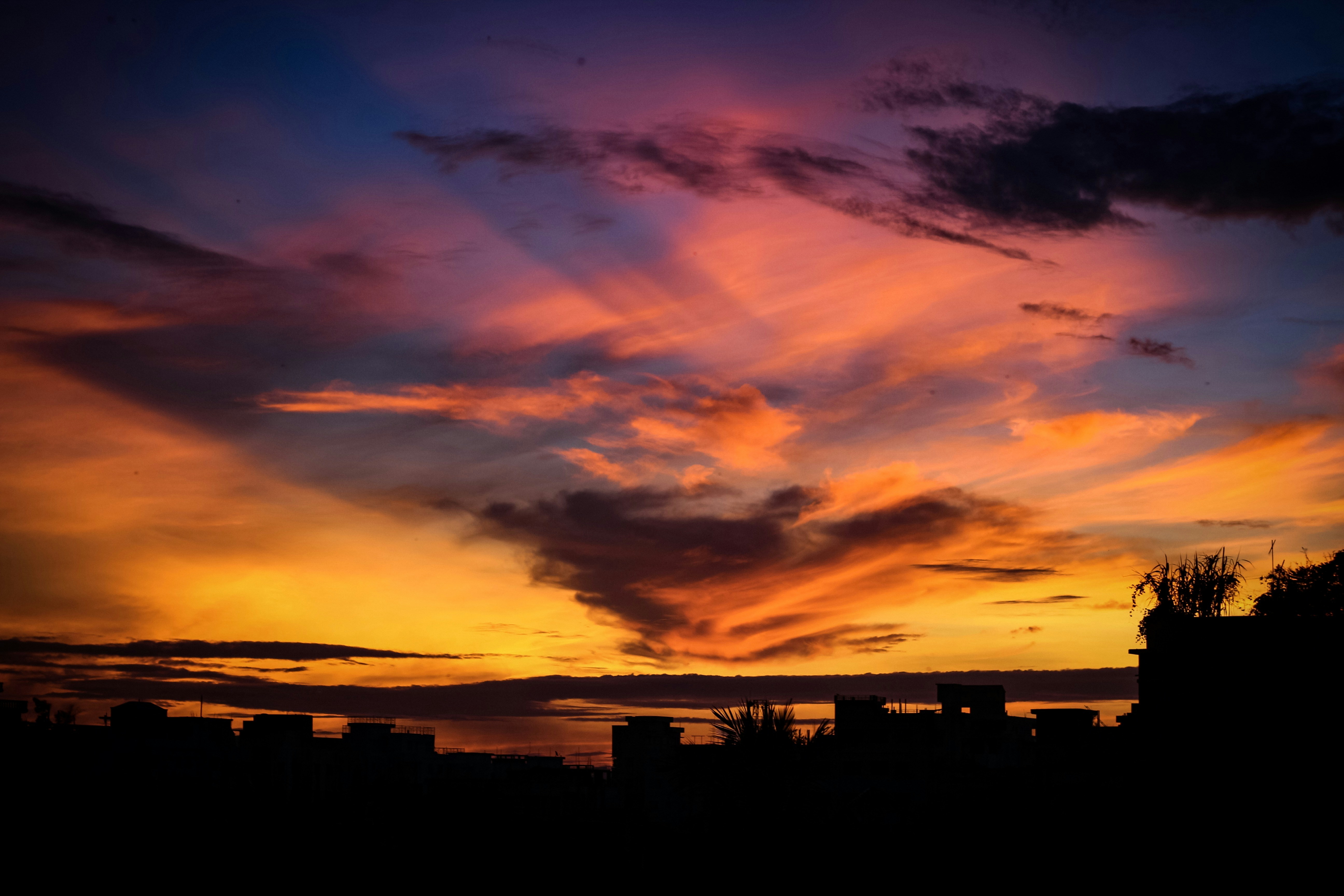 Photo by ishrak_sunny