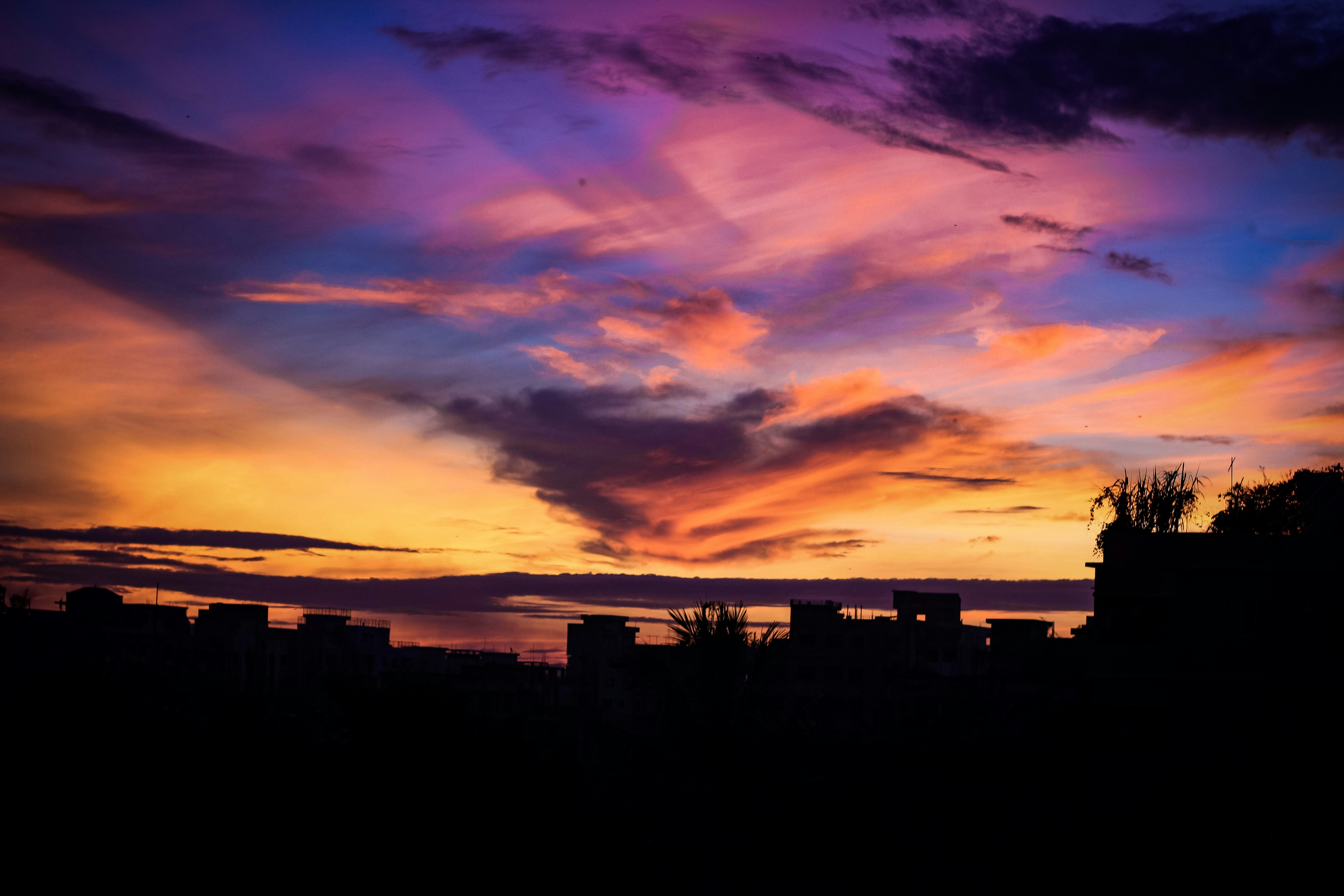 Photo by ishrak_sunny