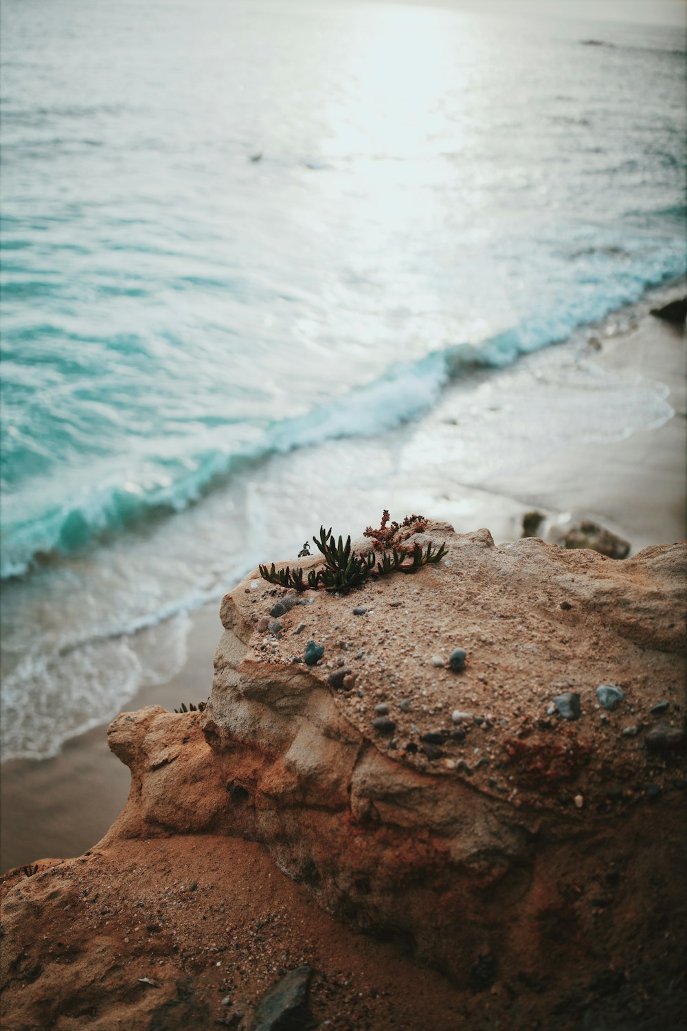 seashore during daytime