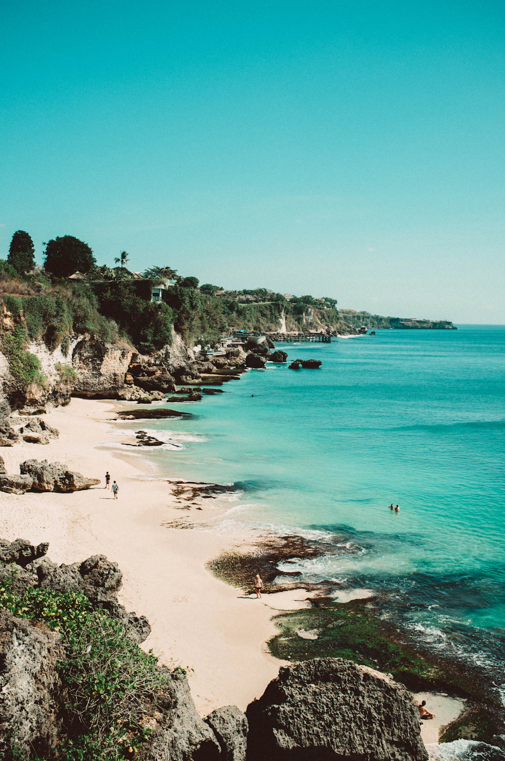 Tropical Balinese beach with palms and turquoise water