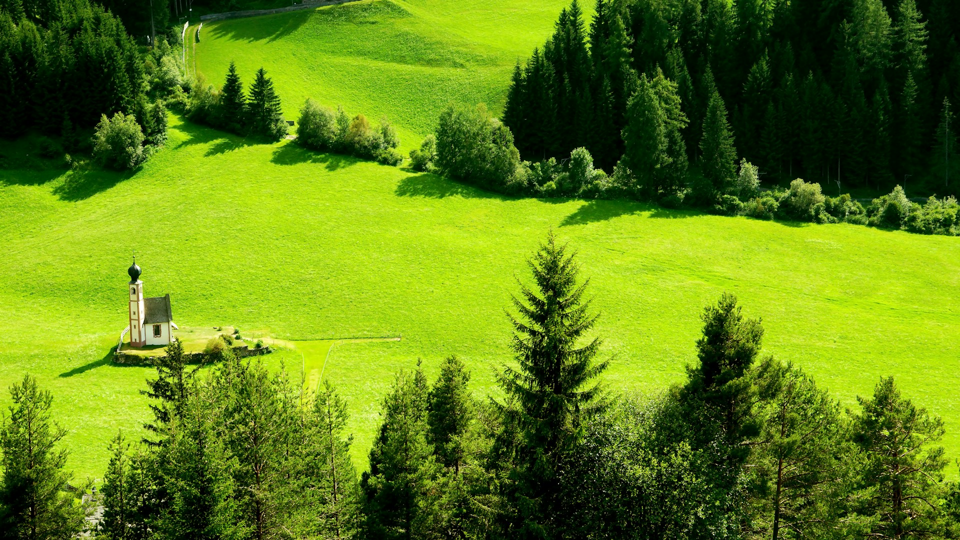 white and brown tower surrounded by green-leafed grass fields