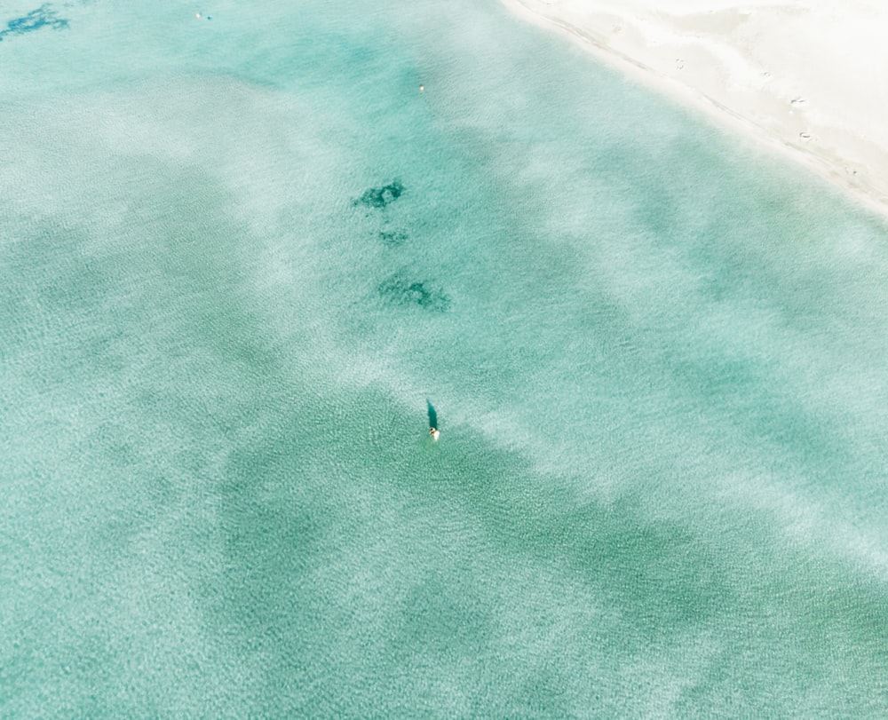 aerial photography of seashore during daytime