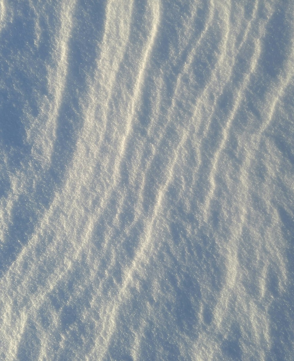 snow covered field