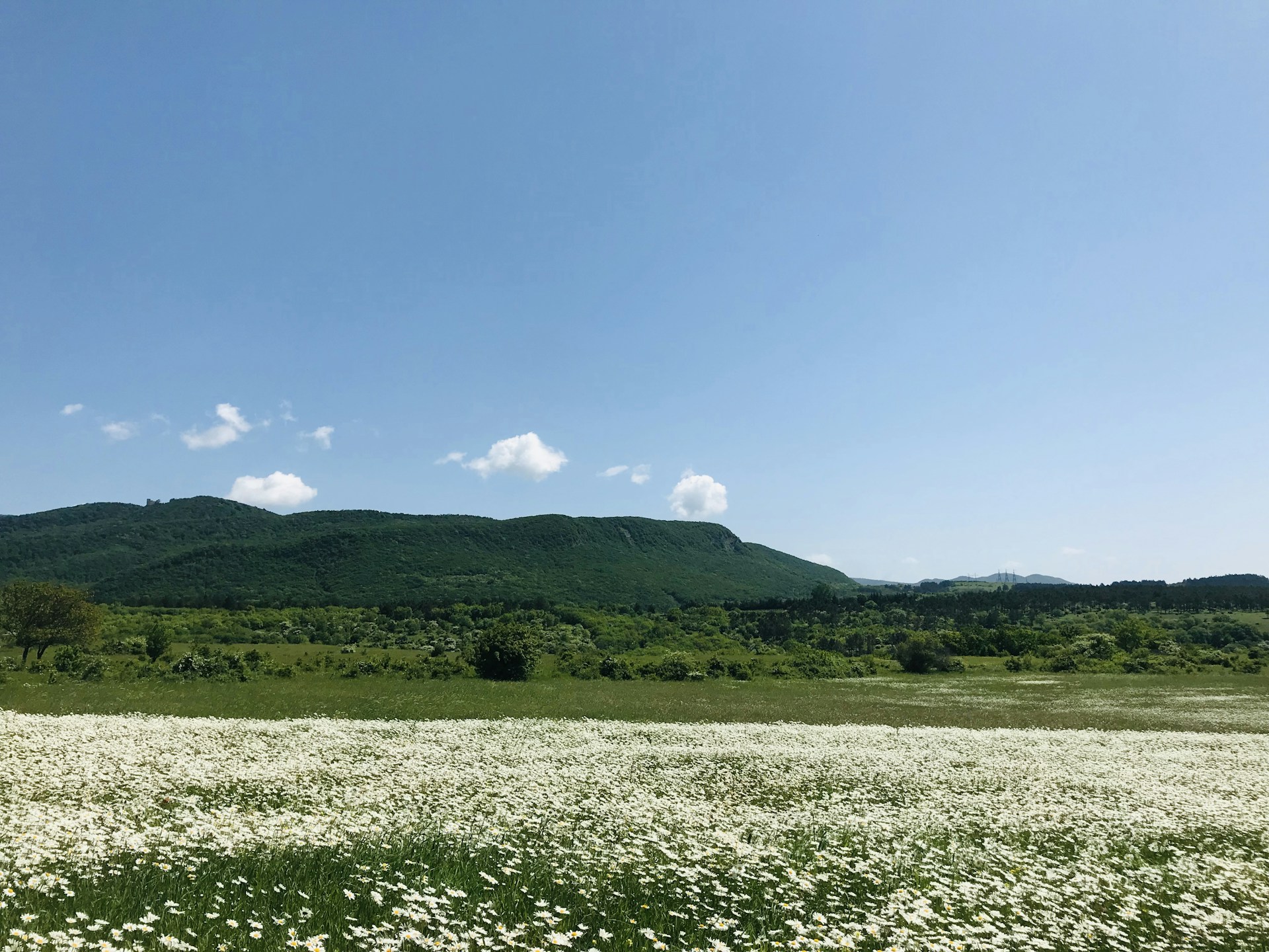 woman wearing yellow long-sleeved dress under white clouds and blue sky during daytime