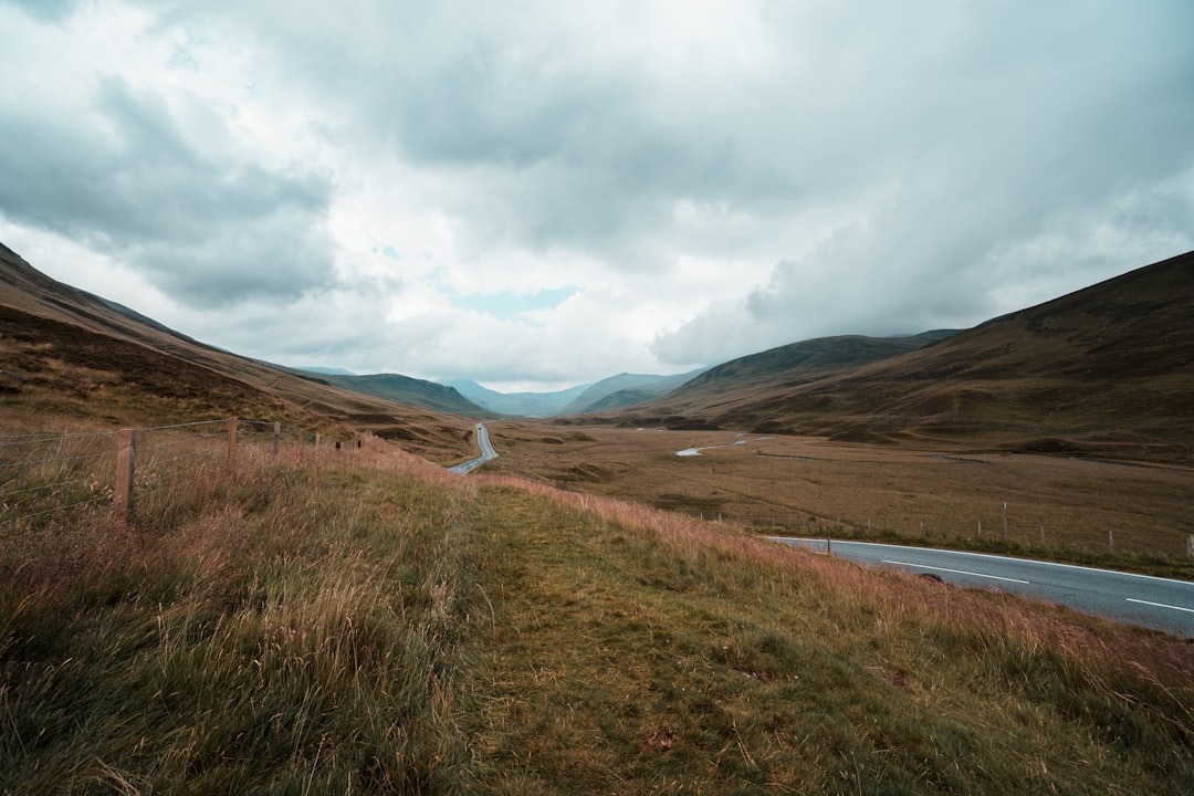 road on brown fields during daytime