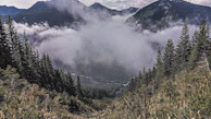 View of nearby mountains framed by tall trees after a gentle rain shower.