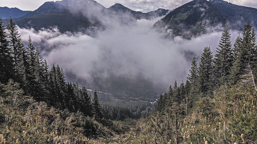 aerial photography of mountain range during daytime