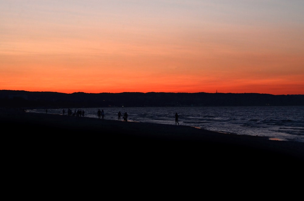 a group of people standing on top of a beach next to the ocean