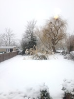 A peaceful winter garden after snow removal, showing clean paths and trimmed bushes.