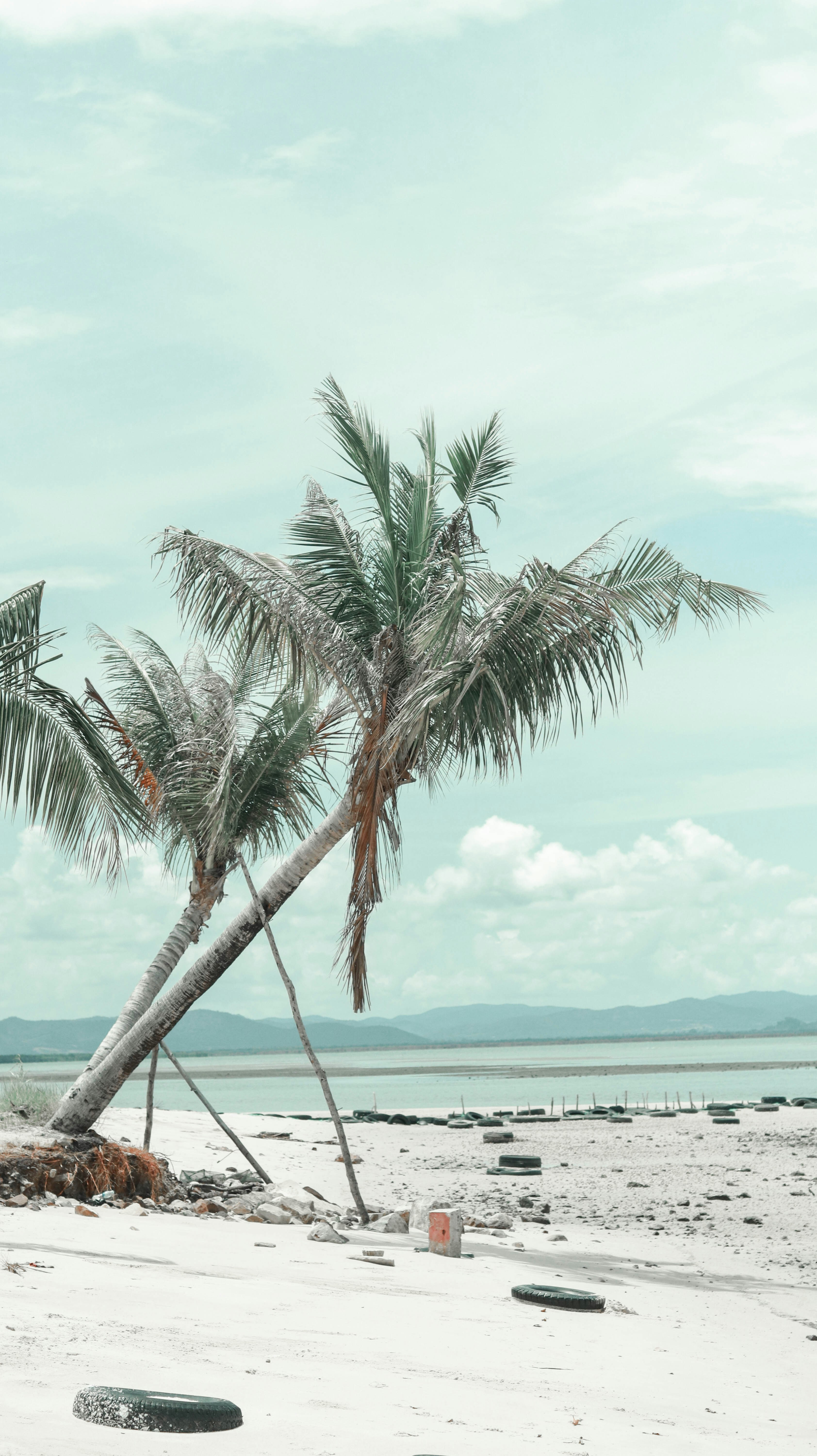 Photo by sen_sathyamony