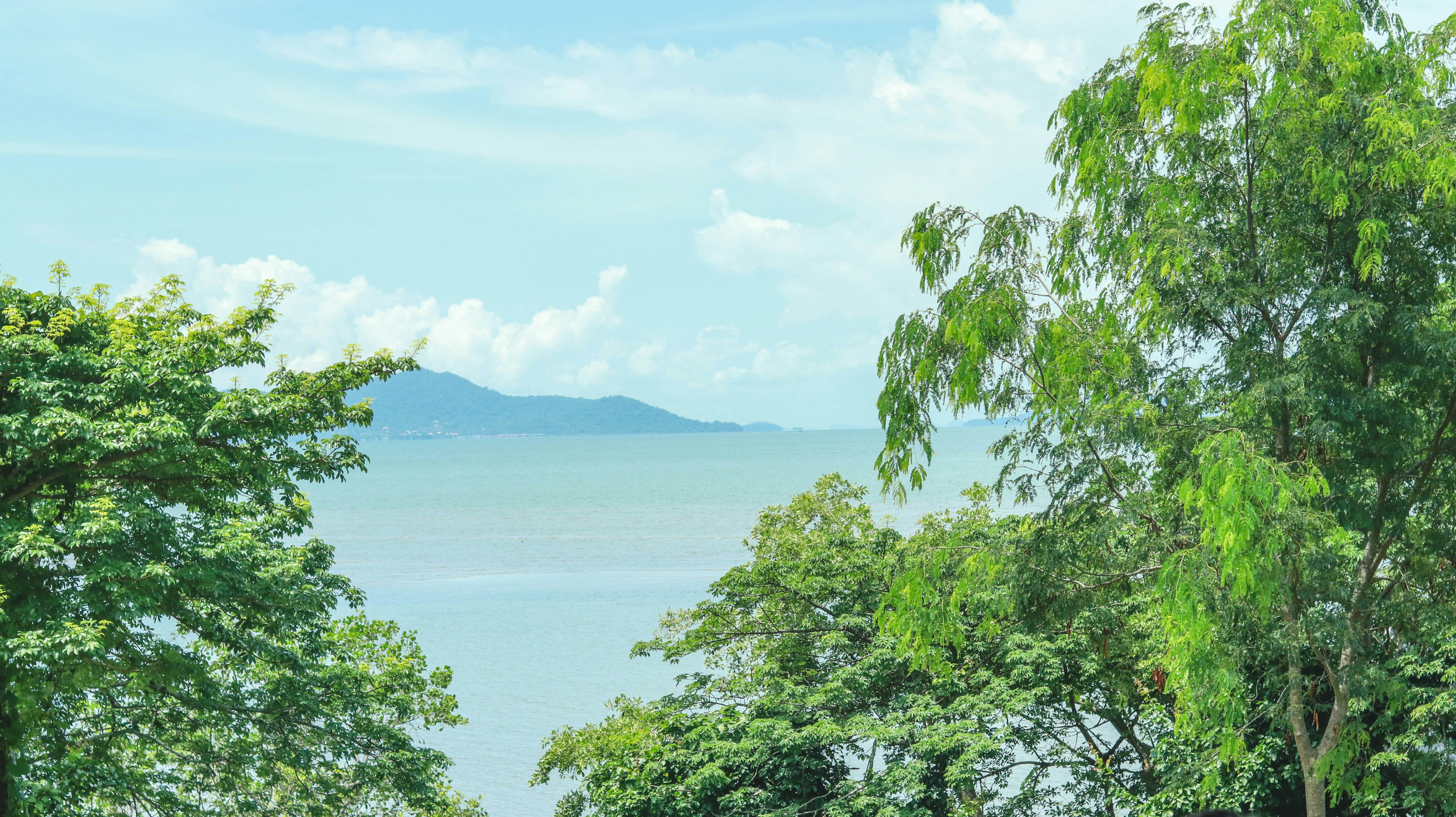 Photo by sen_sathyamony