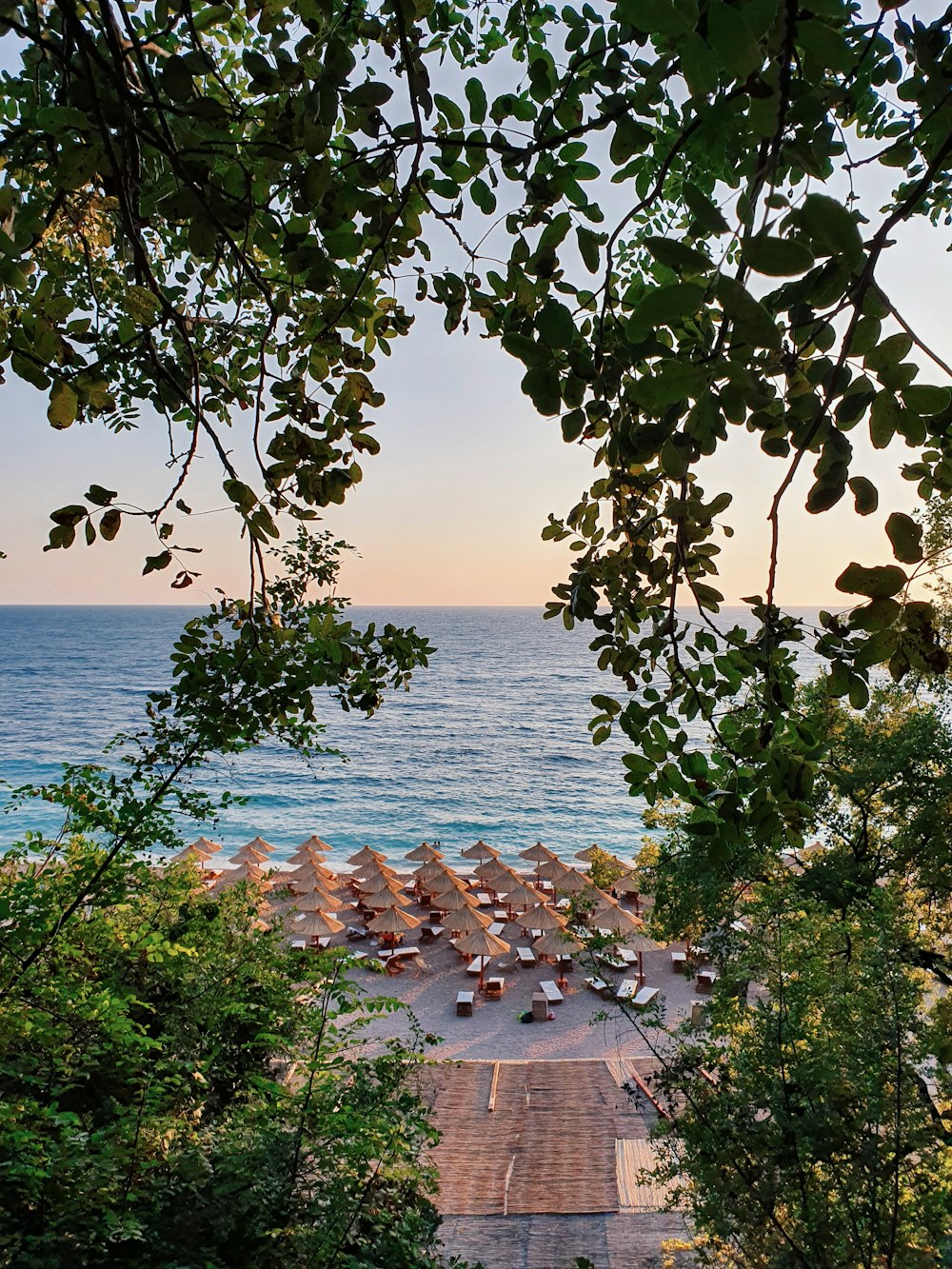 a view of a beach with umbrellas and trees