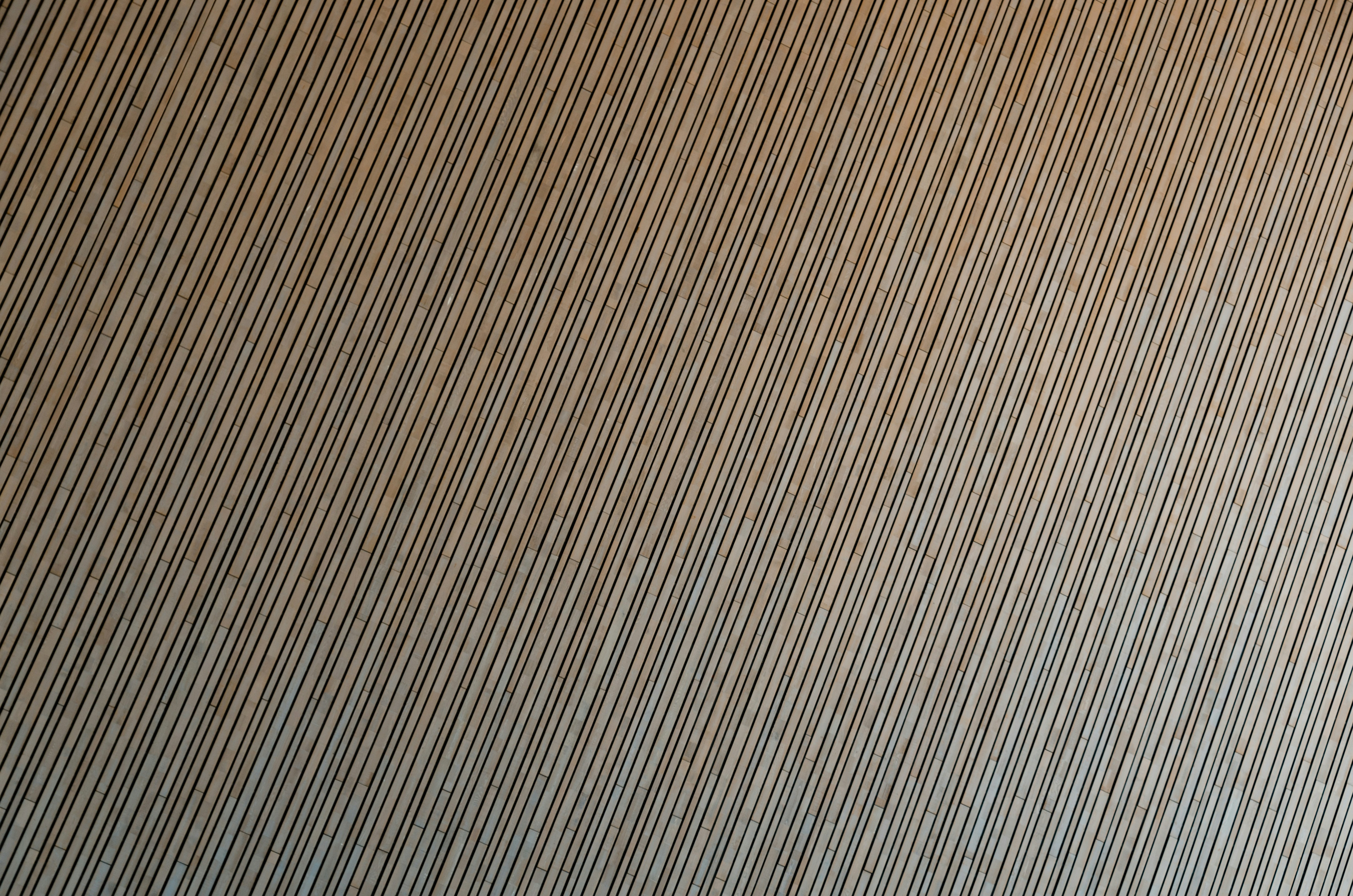 Photo by mike_van_den_bos