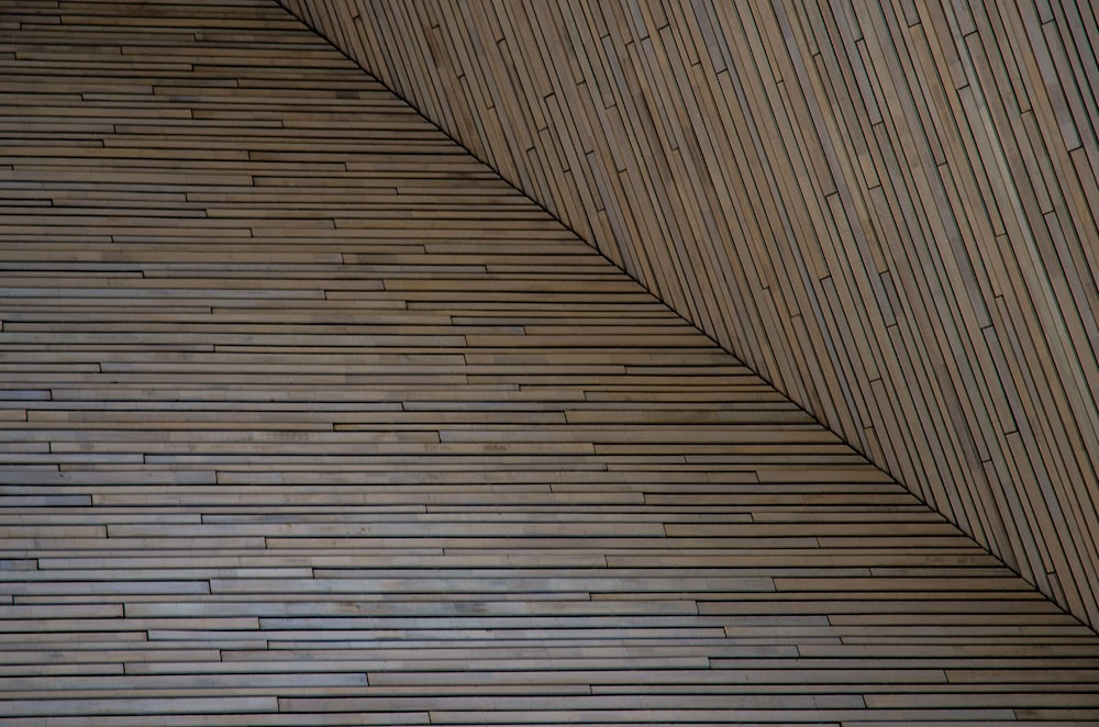 a bird is sitting on a ledge of a building