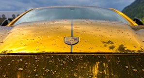 closeup photo of yellow and black Lamborghini vehicle