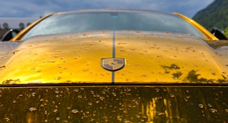closeup photo of yellow and black Lamborghini vehicle