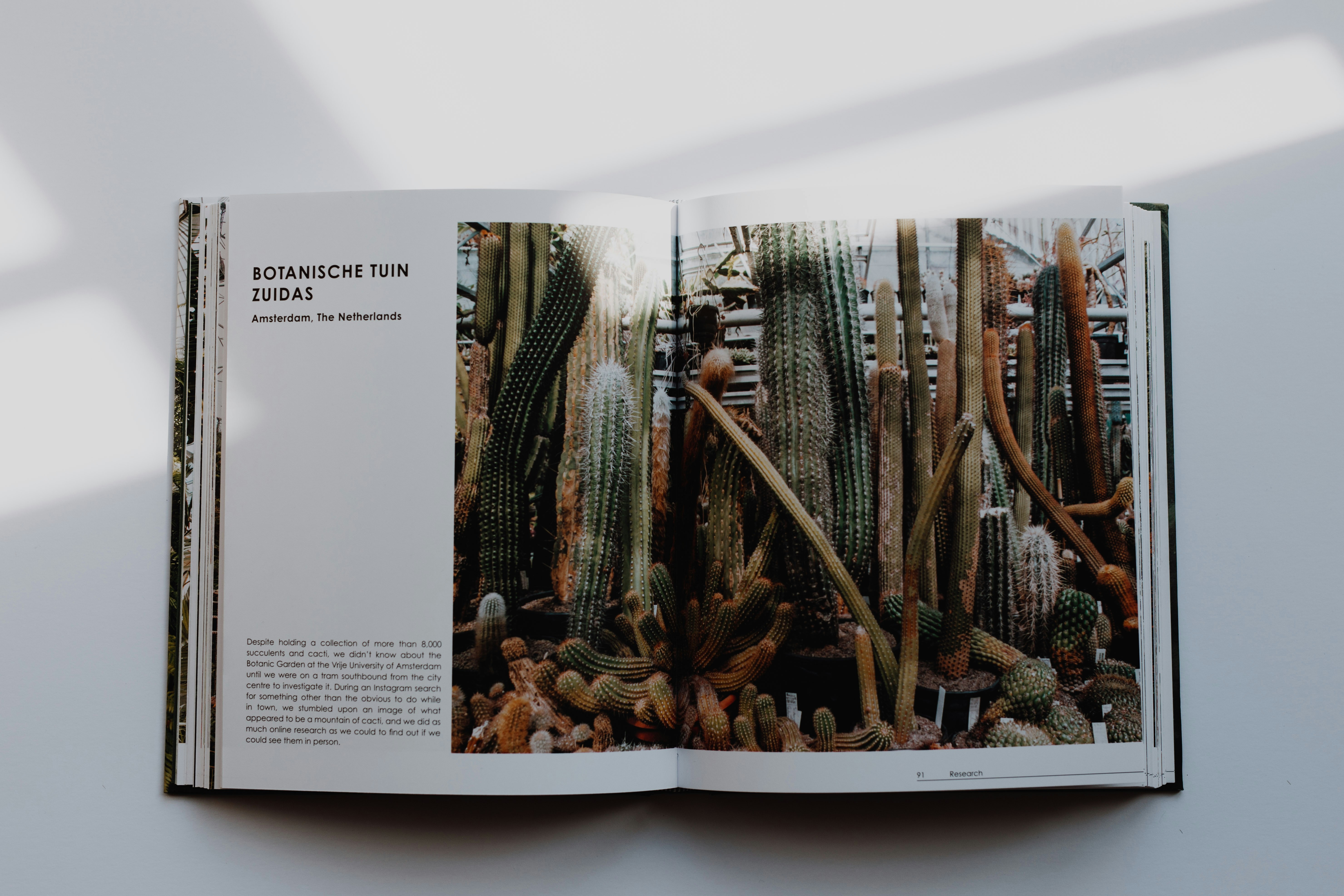 a book opened to a page of plants