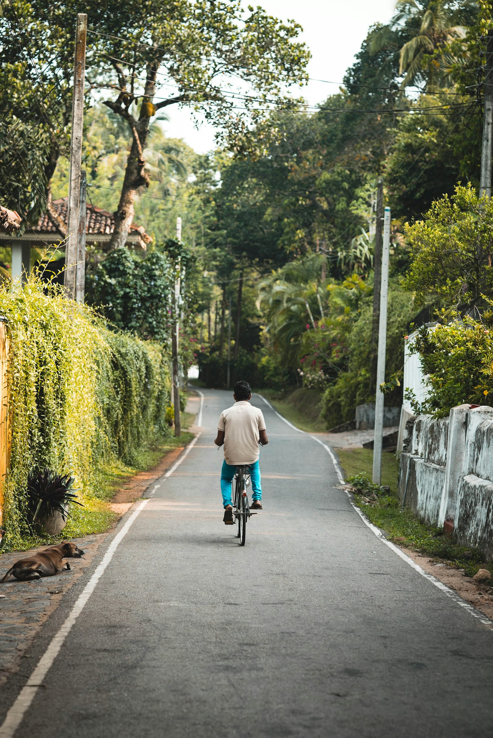 Sony a7S II + Sony FE 85mm F1.4 GM sample photo. Man riding bicycle photography