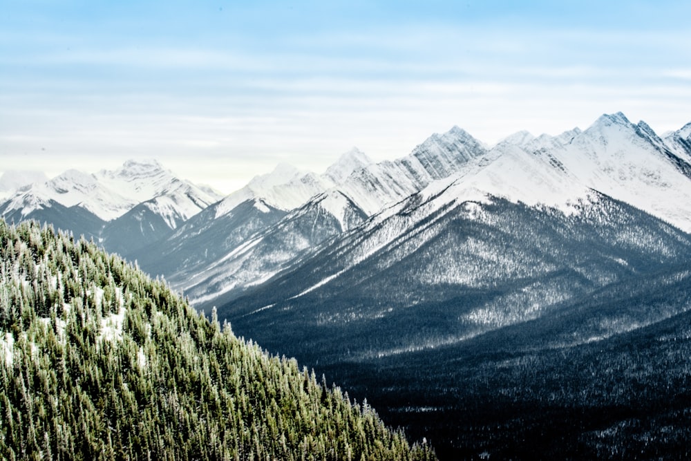 a view of a mountain range with trees in the foreground