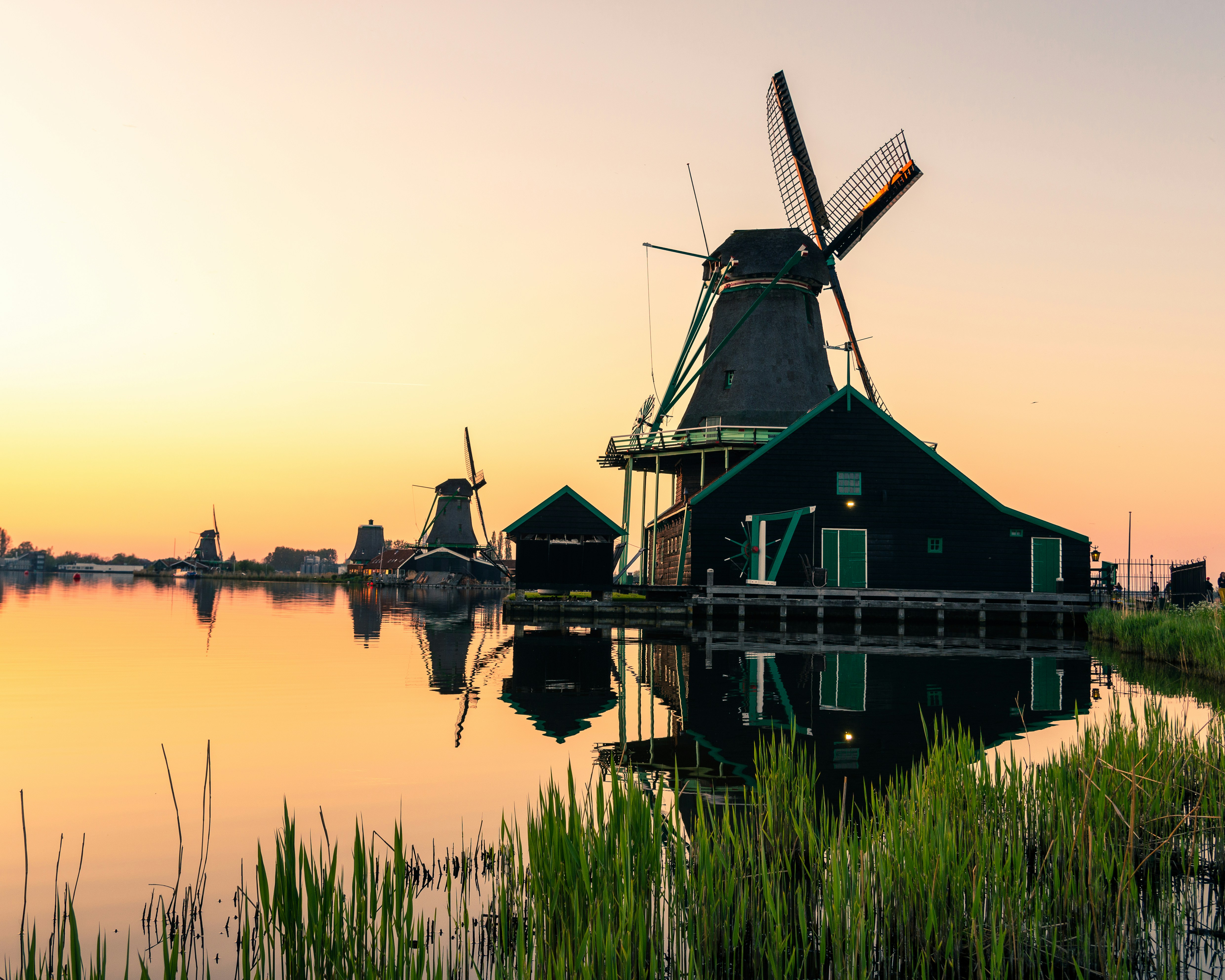 Photo by vijayparashar12