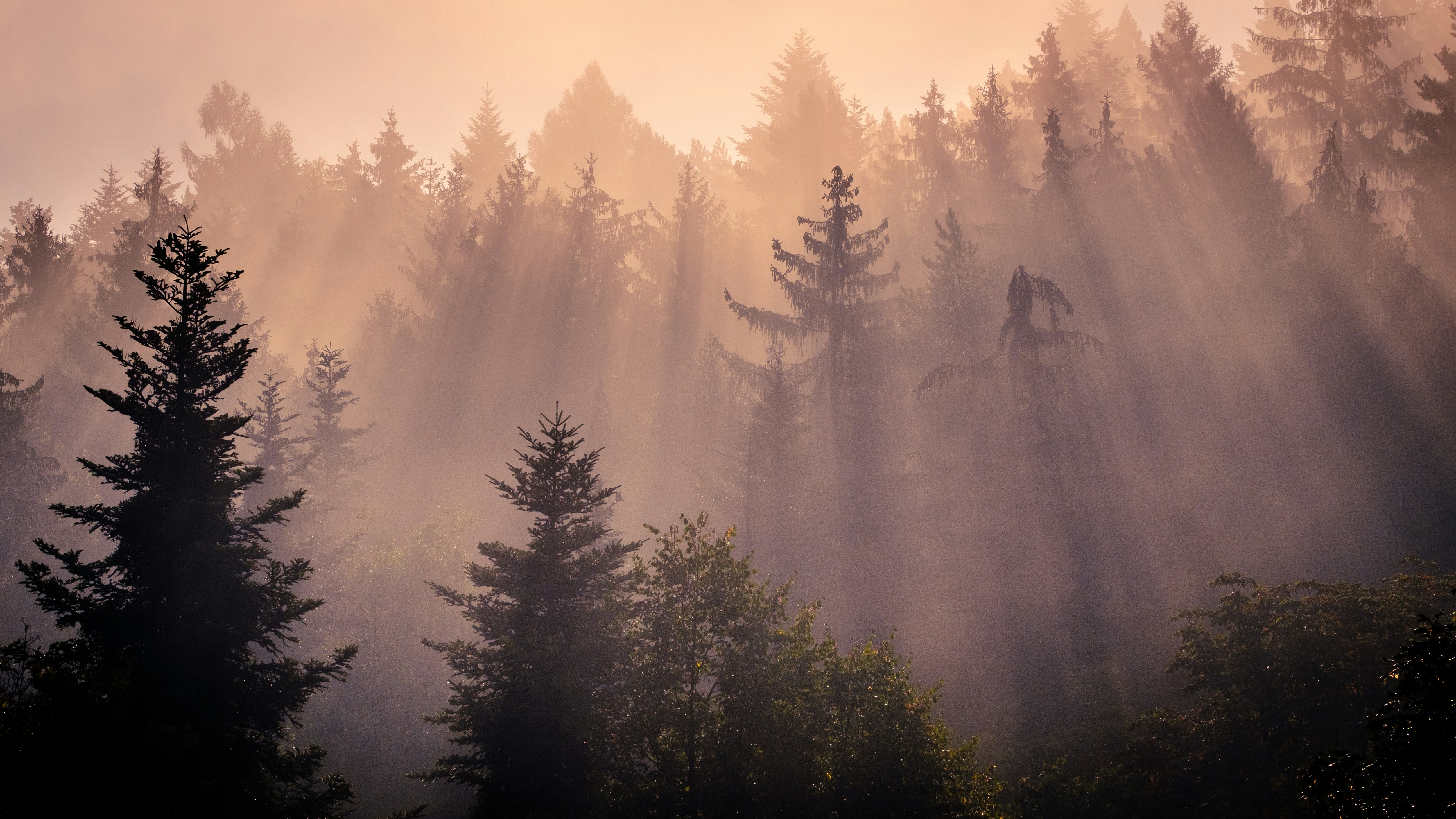 Photo by ivan_dostal