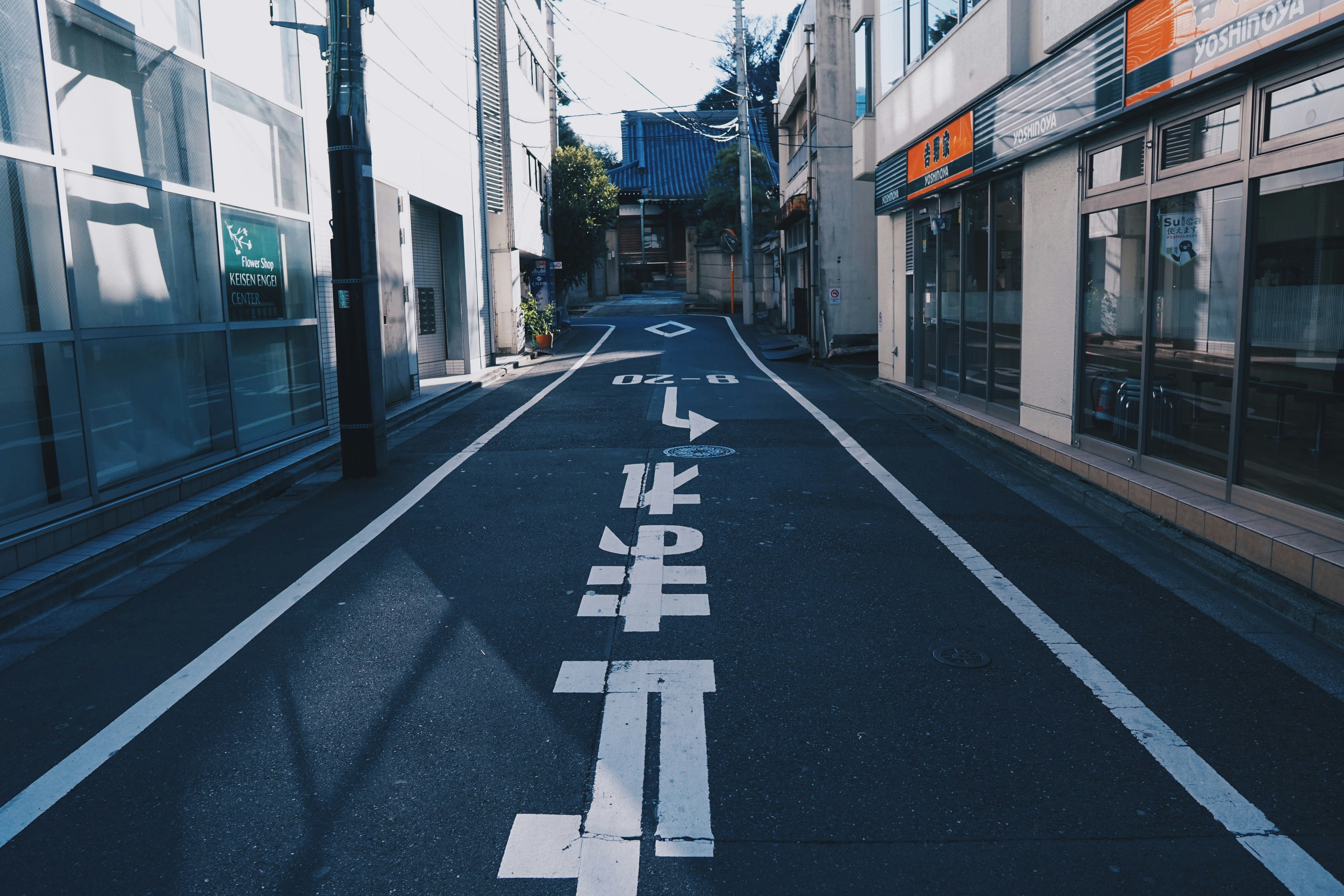 Photo by nicsandman20