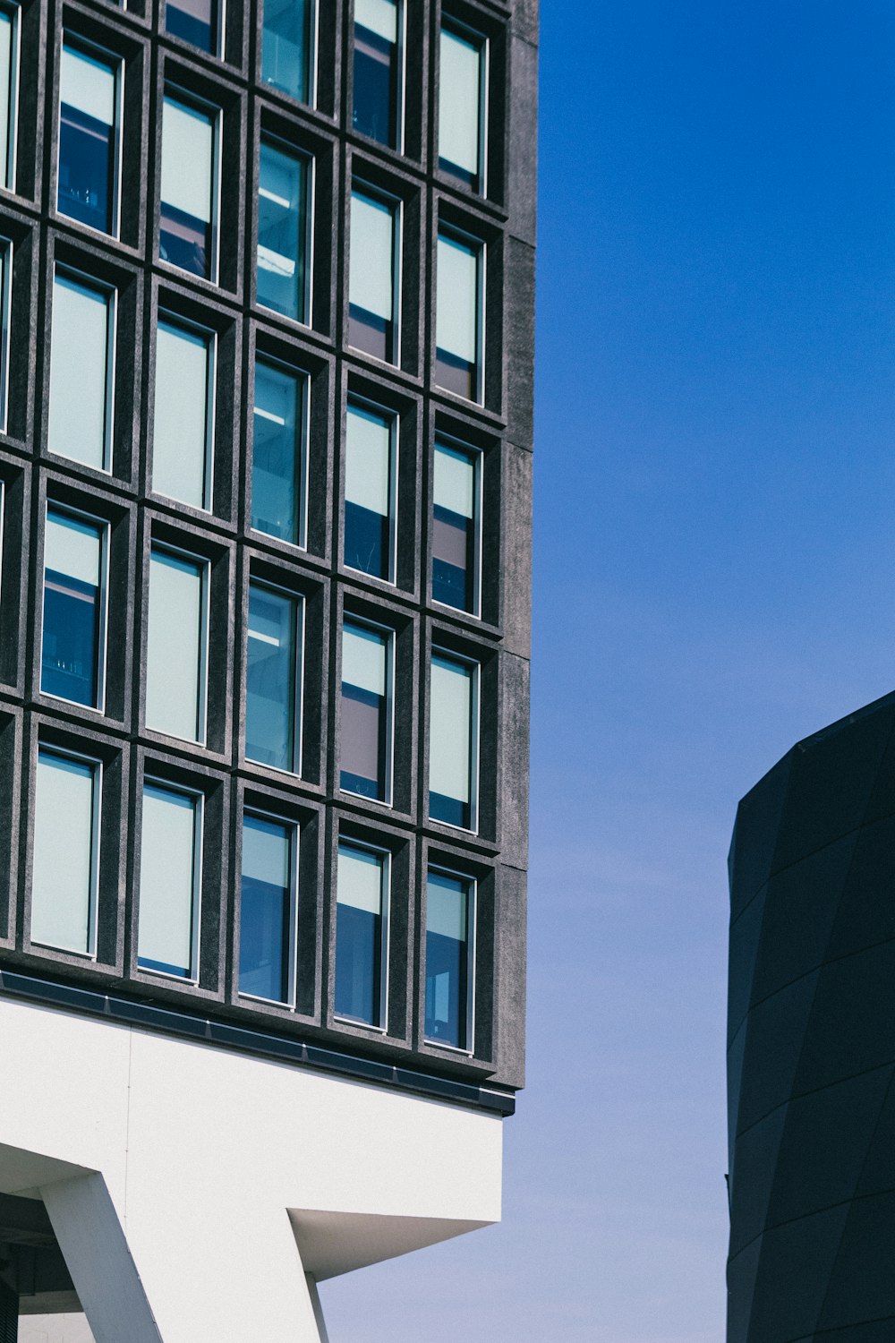 high-ruse buildings under blue sky