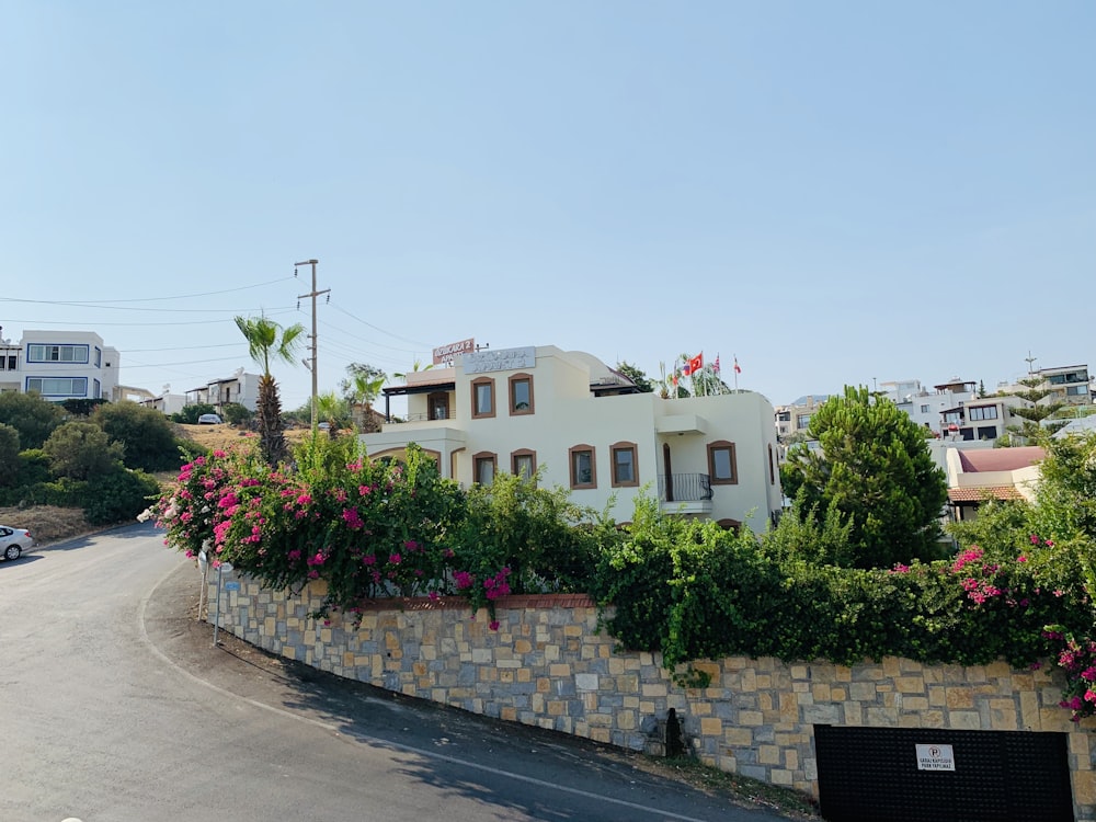 white building near the street at daytime