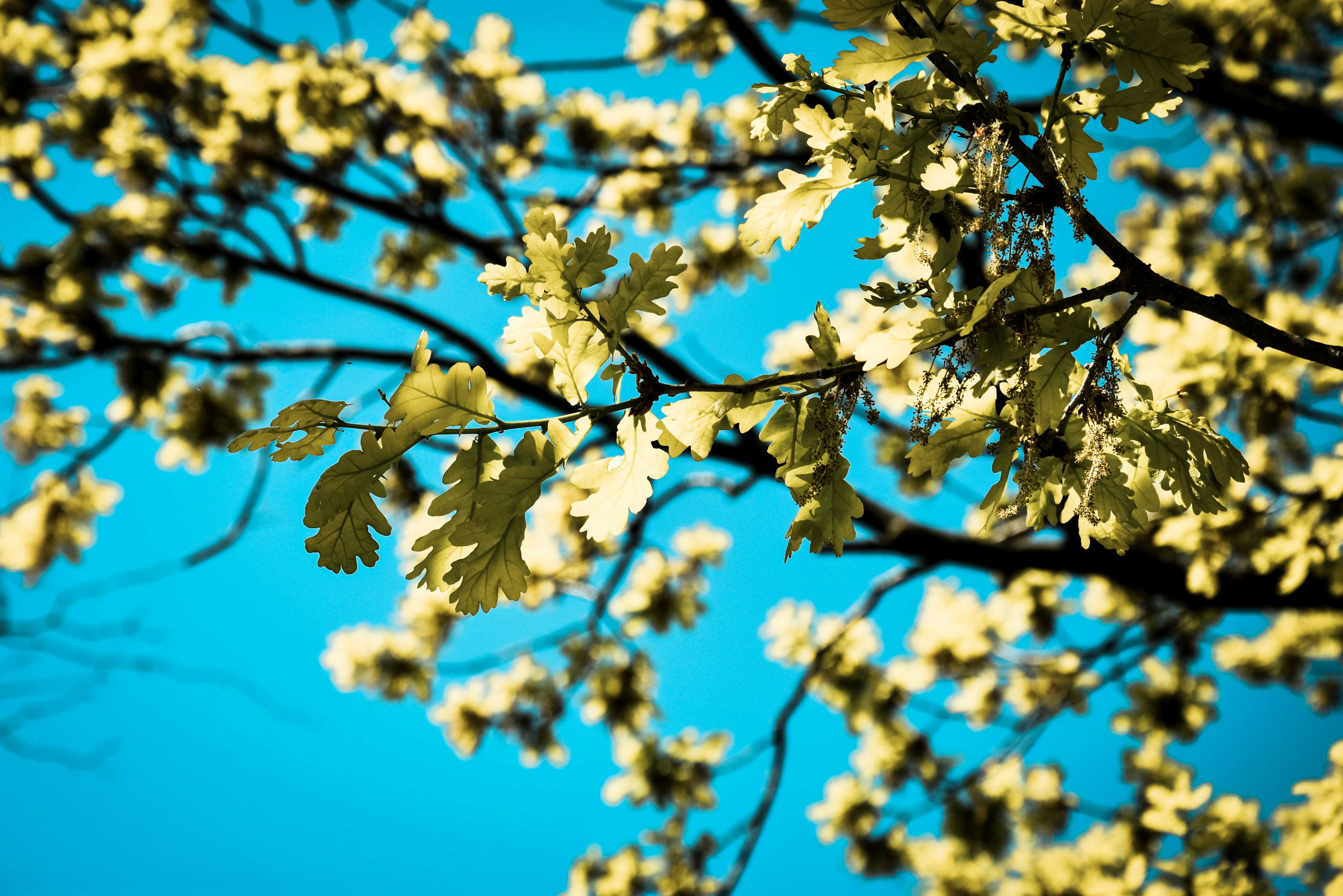 Photo by tetiana_martynenko