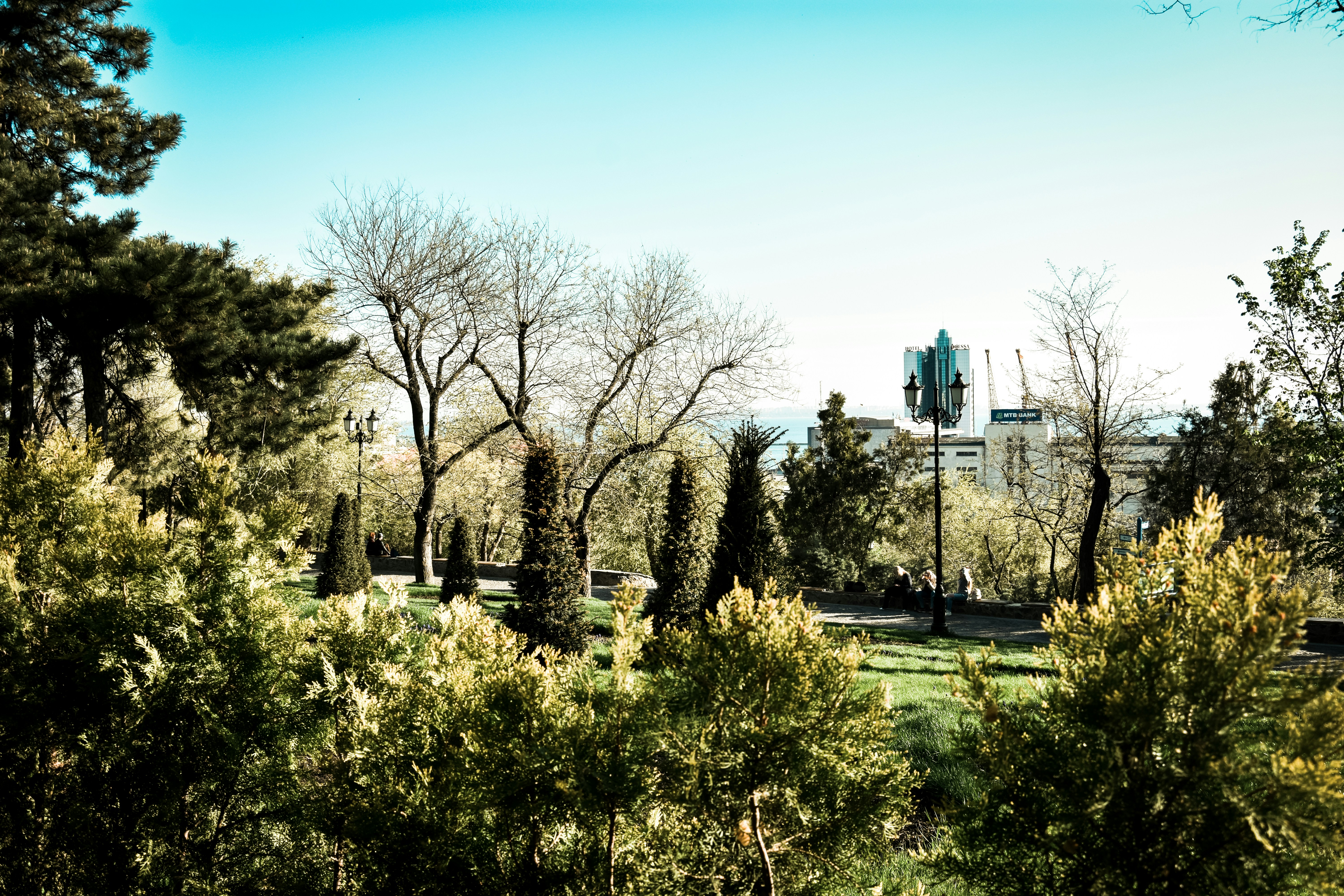 Photo by tetiana_martynenko