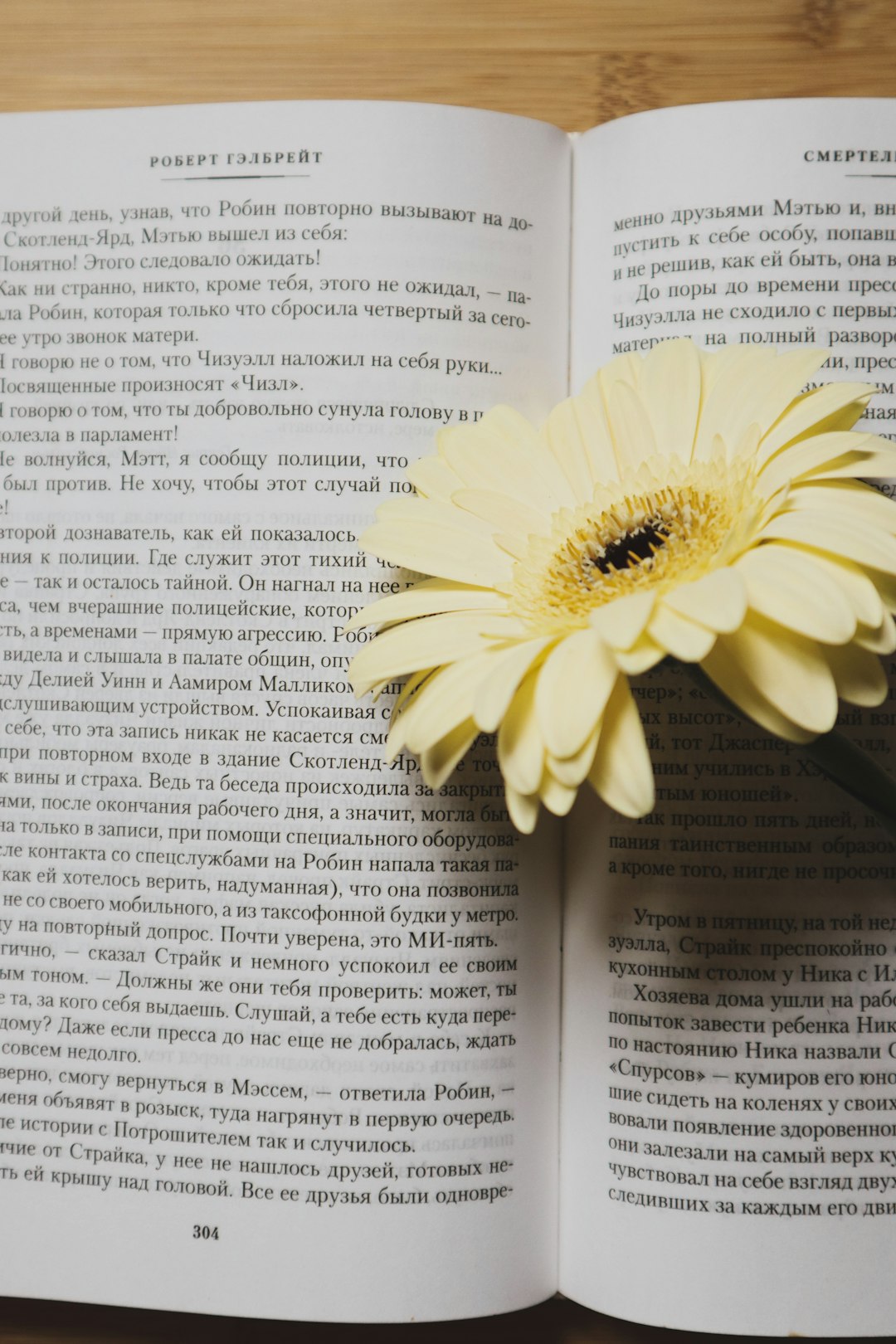 yellow gerbera daisy on open book