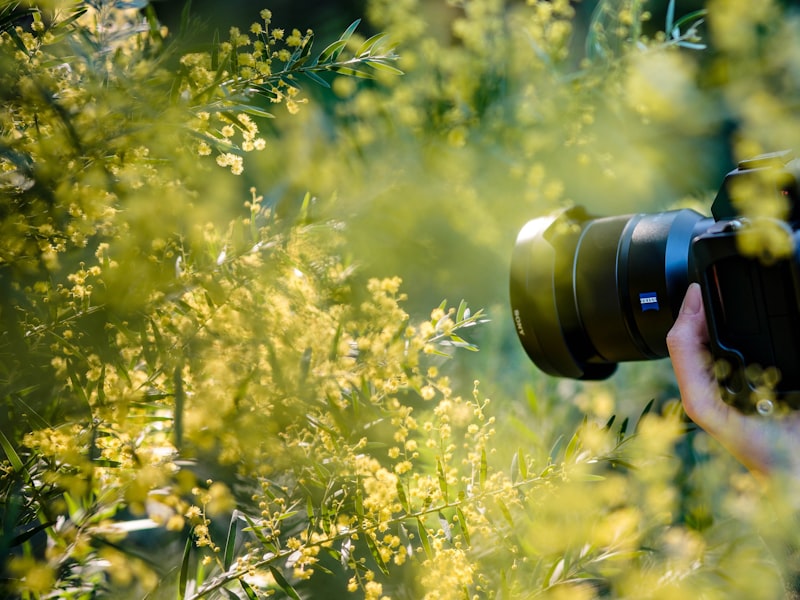 The Greatest Guide To "Garden Nursery 101: Understanding Plant Care and Maintenance"
